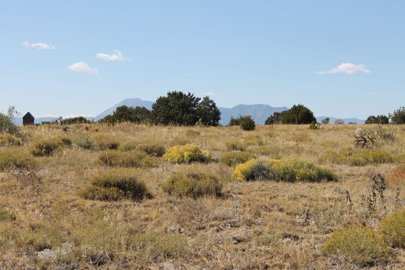 Black Diamond Park Tract 4 photo 26