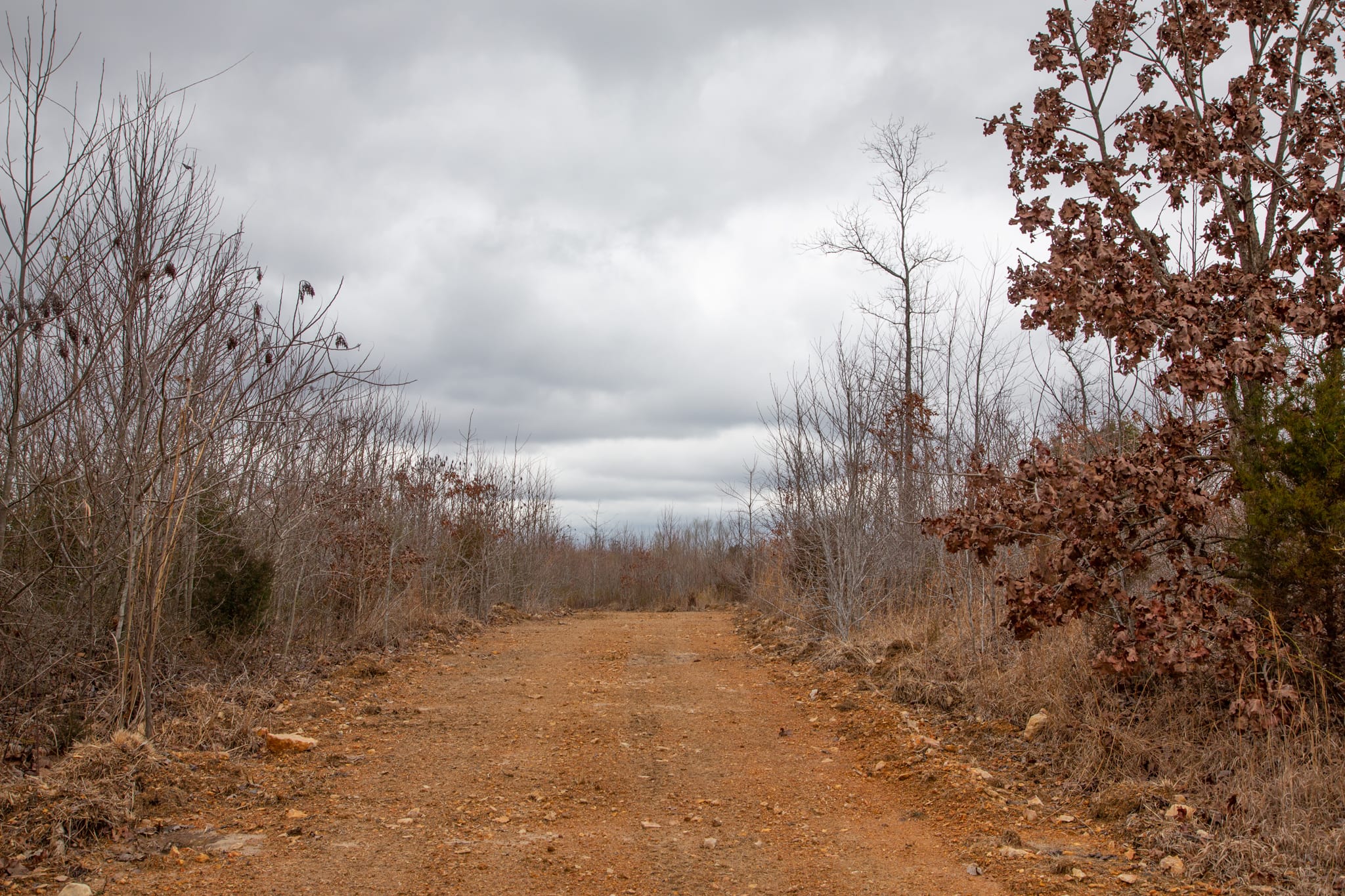 Southwind Ranch Tract 12 photo 9