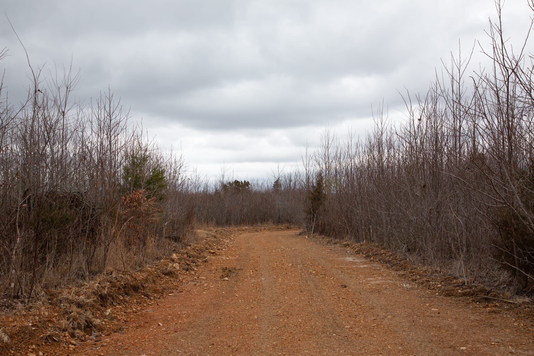 Southwind Ranch Tract 12 photo 2
