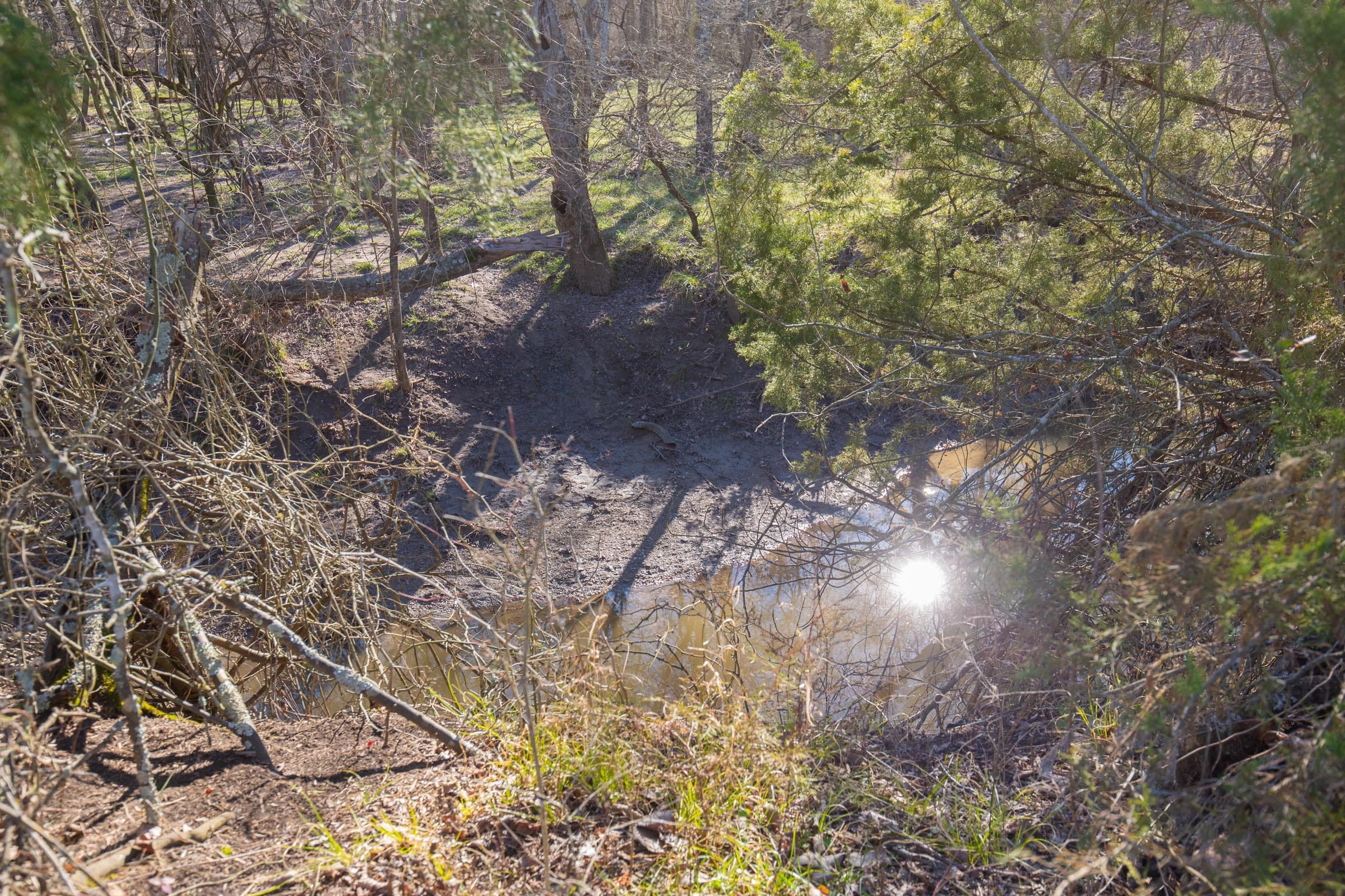 Wishing Star Ranch Tract 6 photo 6
