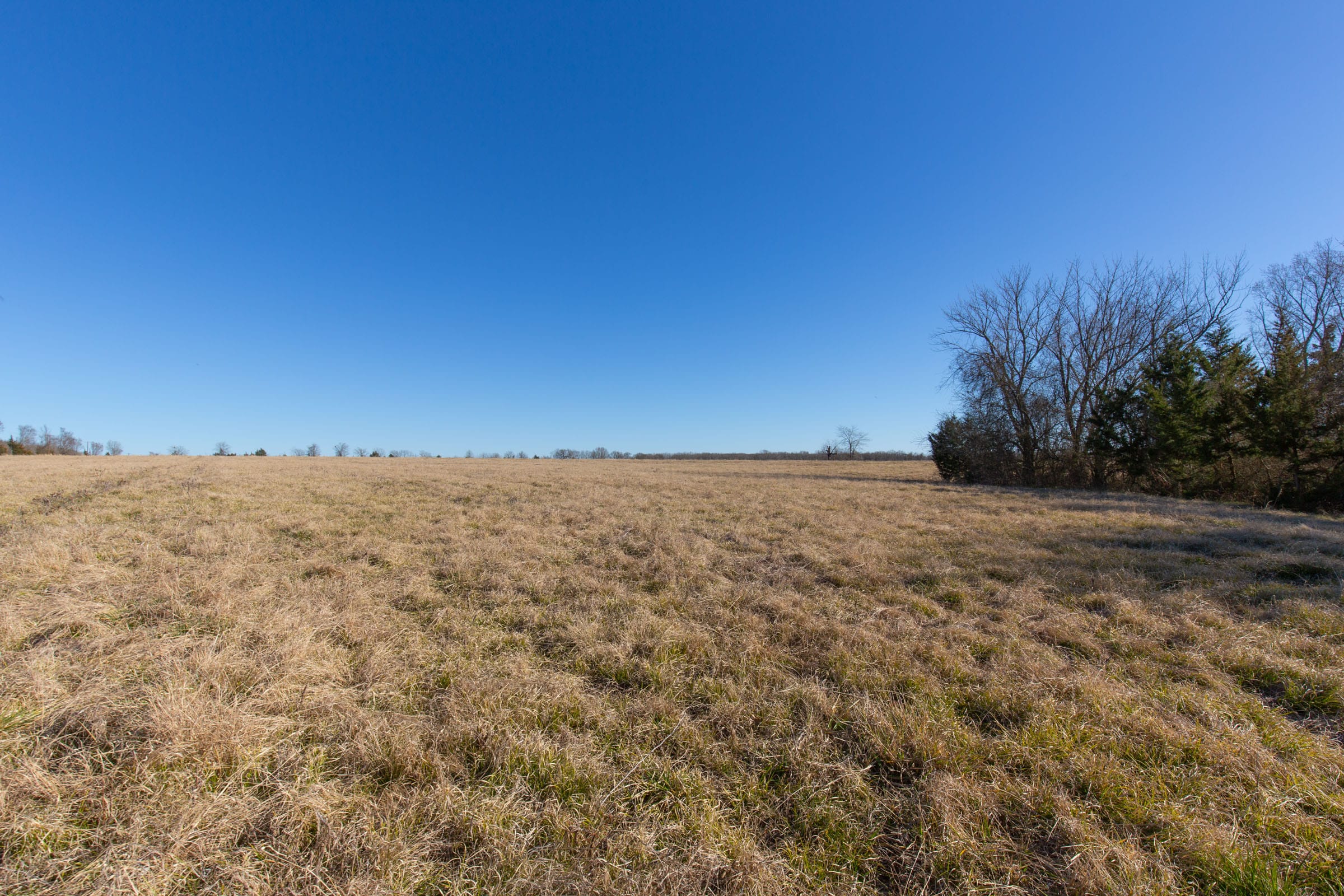 Wishing Star Ranch Tract 6 photo 7