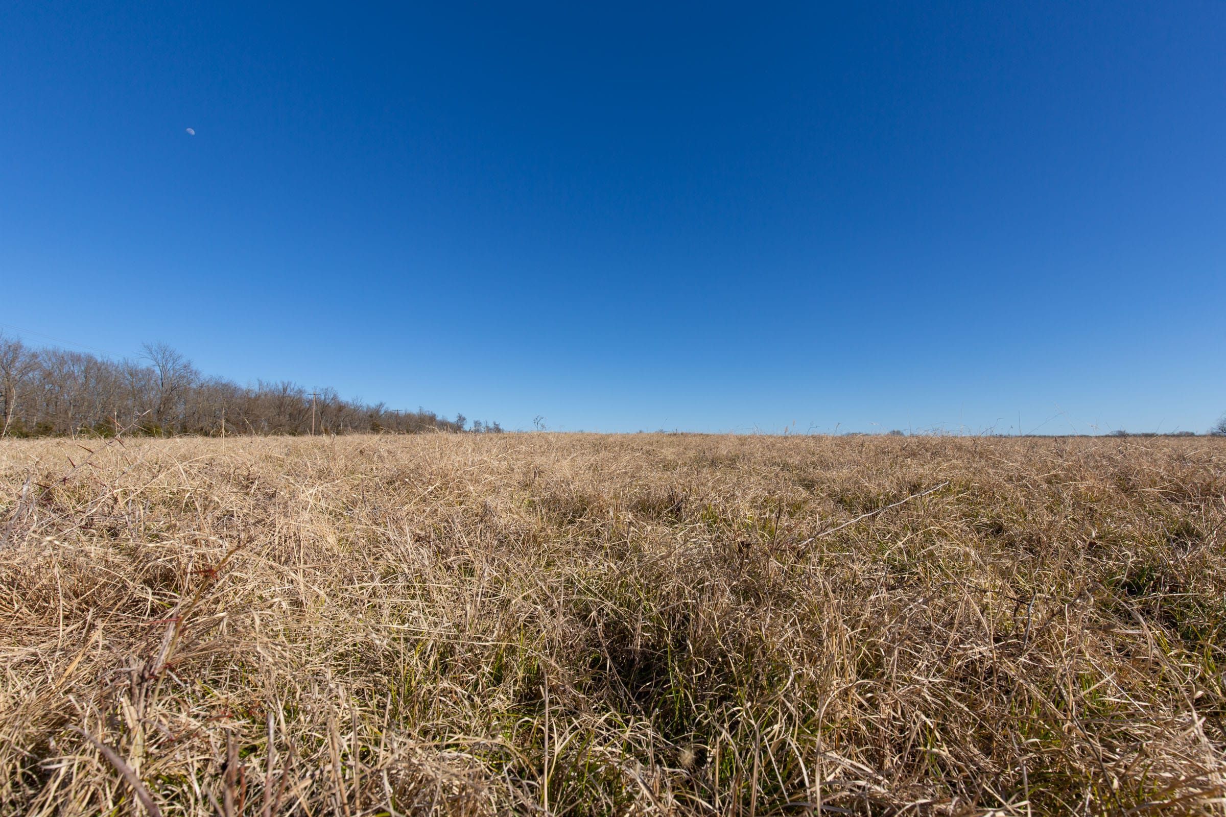 Wishing Star Ranch Tract 6 photo 8