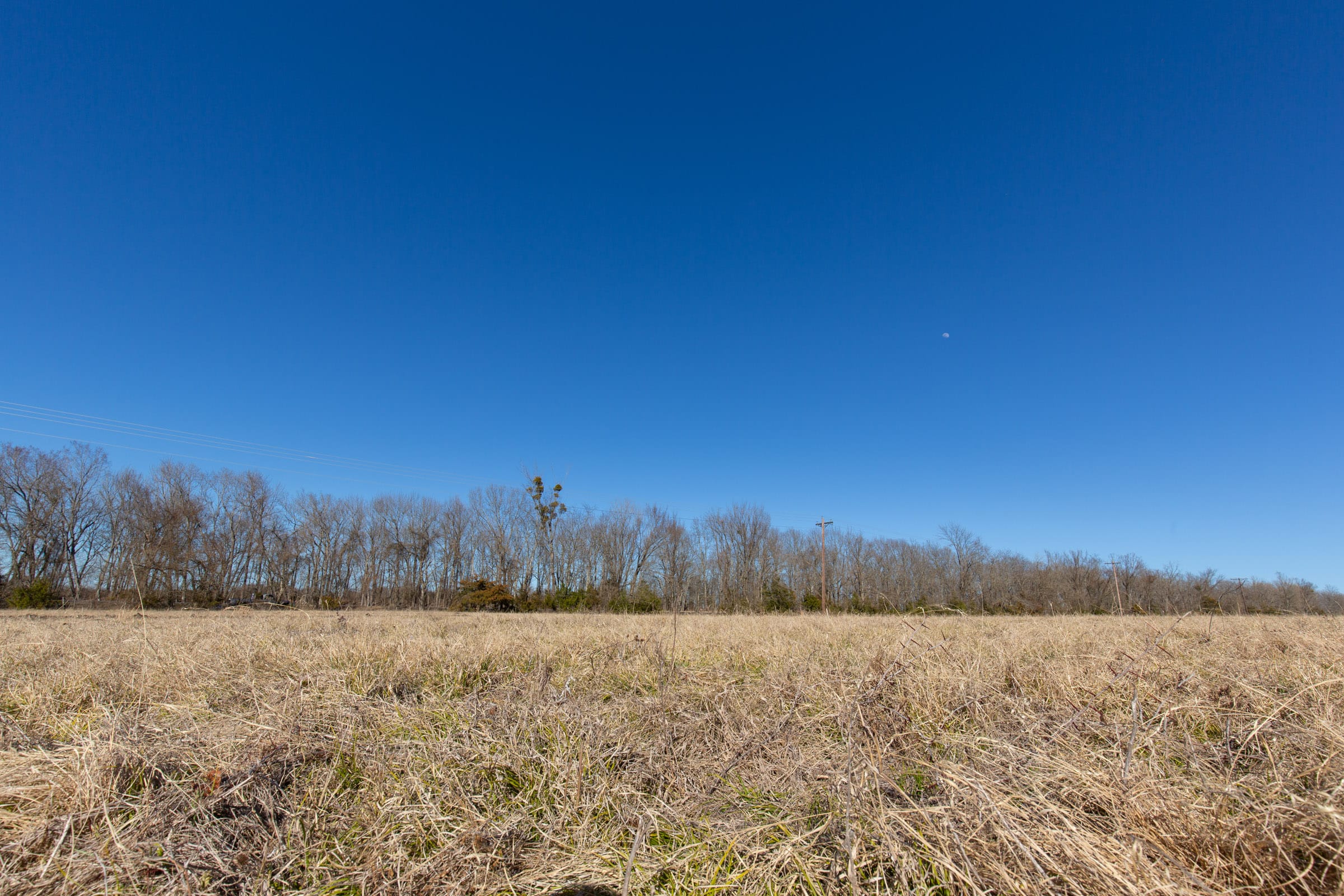 Wishing Star Ranch Tract 6 photo 9