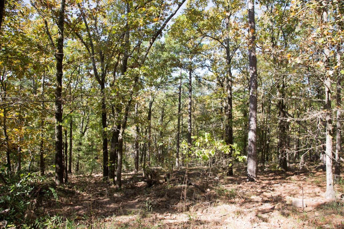 Stone Creek Phase I Tract 141 photo 8
