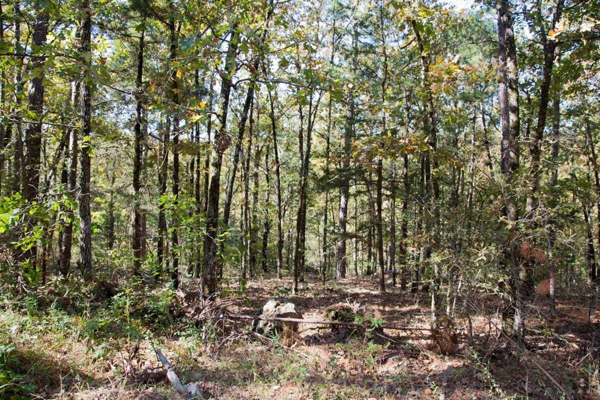 Stone Creek Phase I Tract 141 photo 9