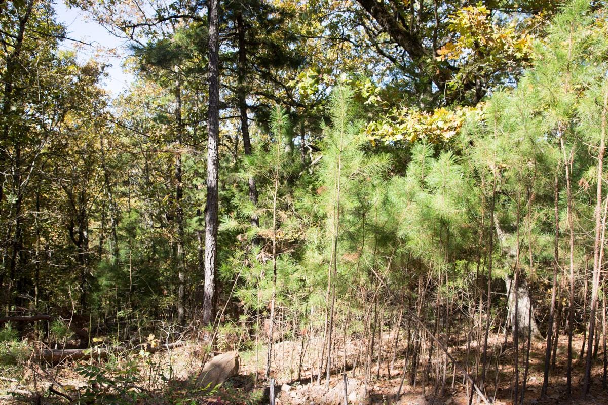 Stone Creek Phase I Tract 141 photo 11
