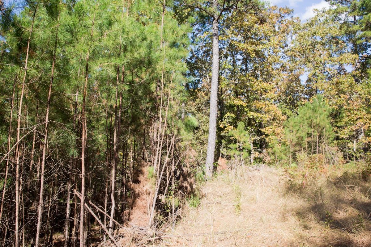 Stone Creek Phase I Tract 141 photo 12