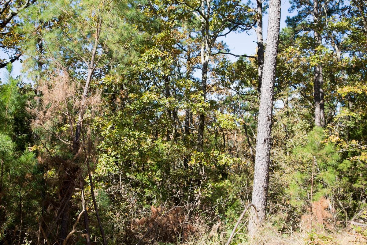 Stone Creek Phase I Tract 141 photo 13