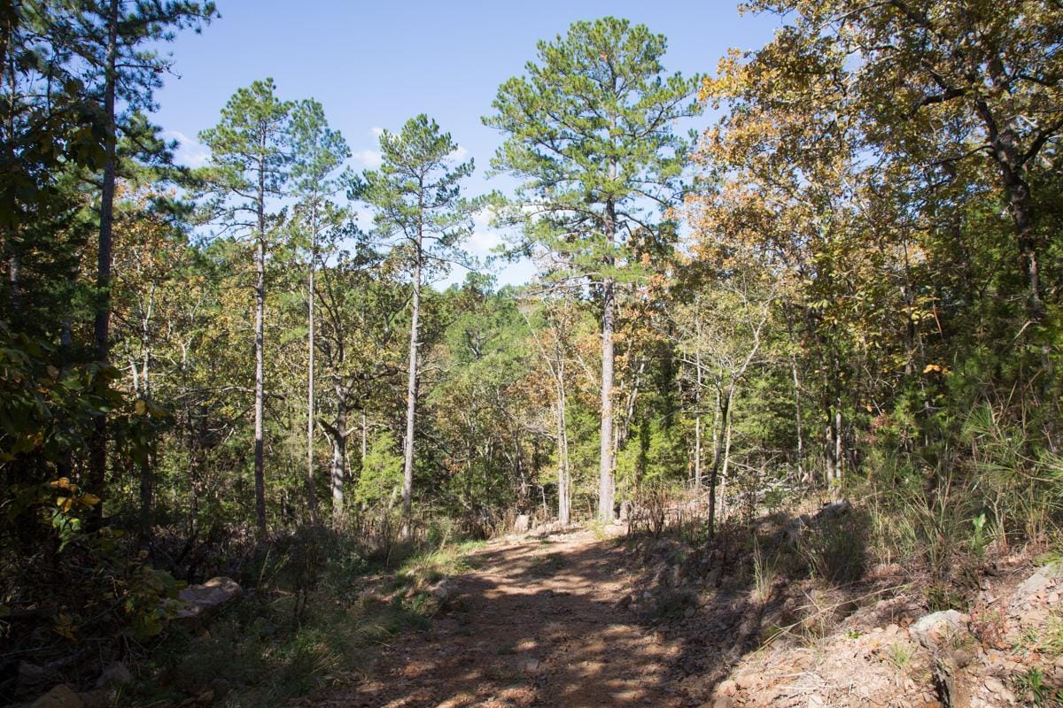 Stone Creek Phase I Tract 141 photo 14