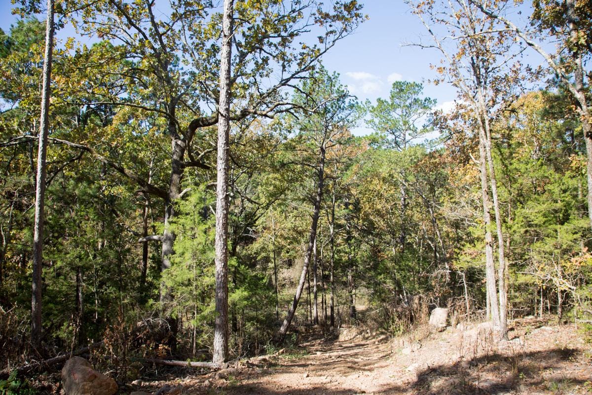 Stone Creek Phase I Tract 141 photo 15