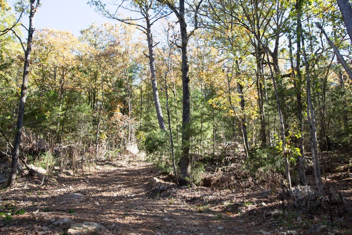 Stone Creek Phase I Tract 141 photo 17