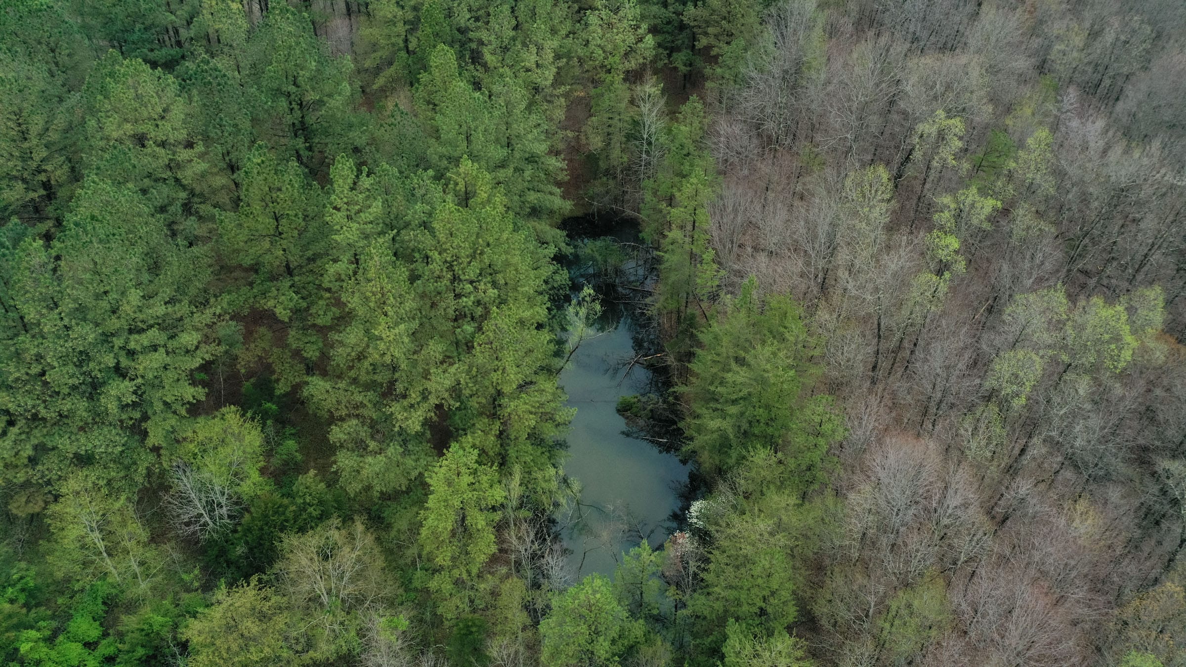 Woodland Heights Tract 22 photo 2