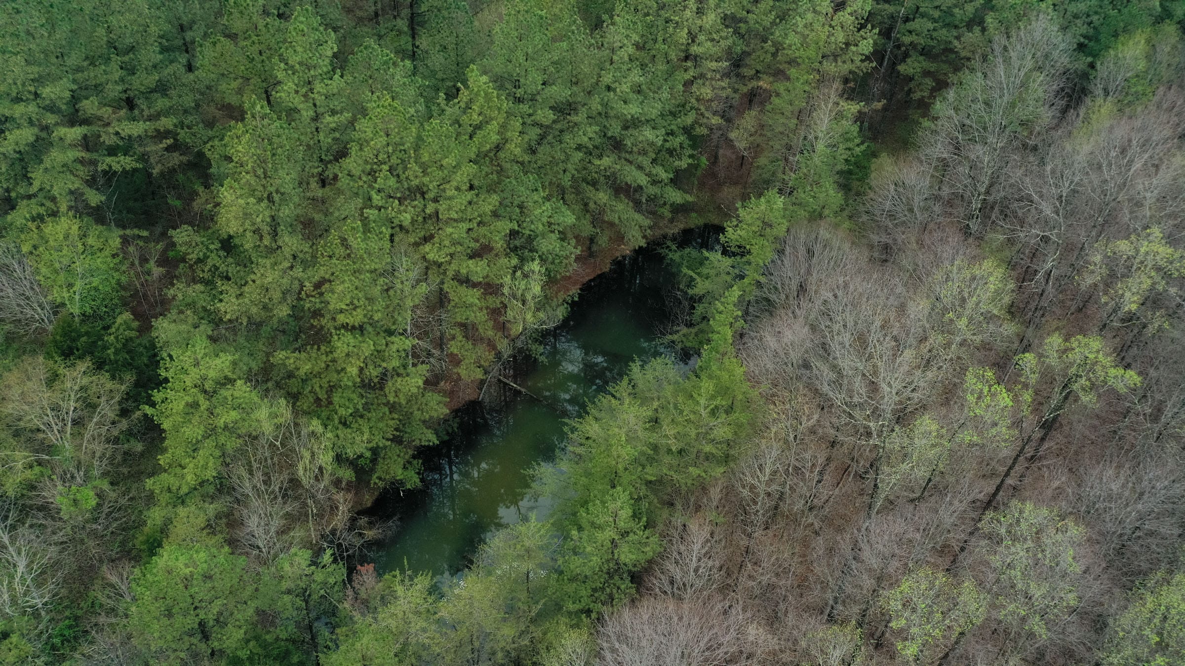 Woodland Heights Tract 22 photo 3