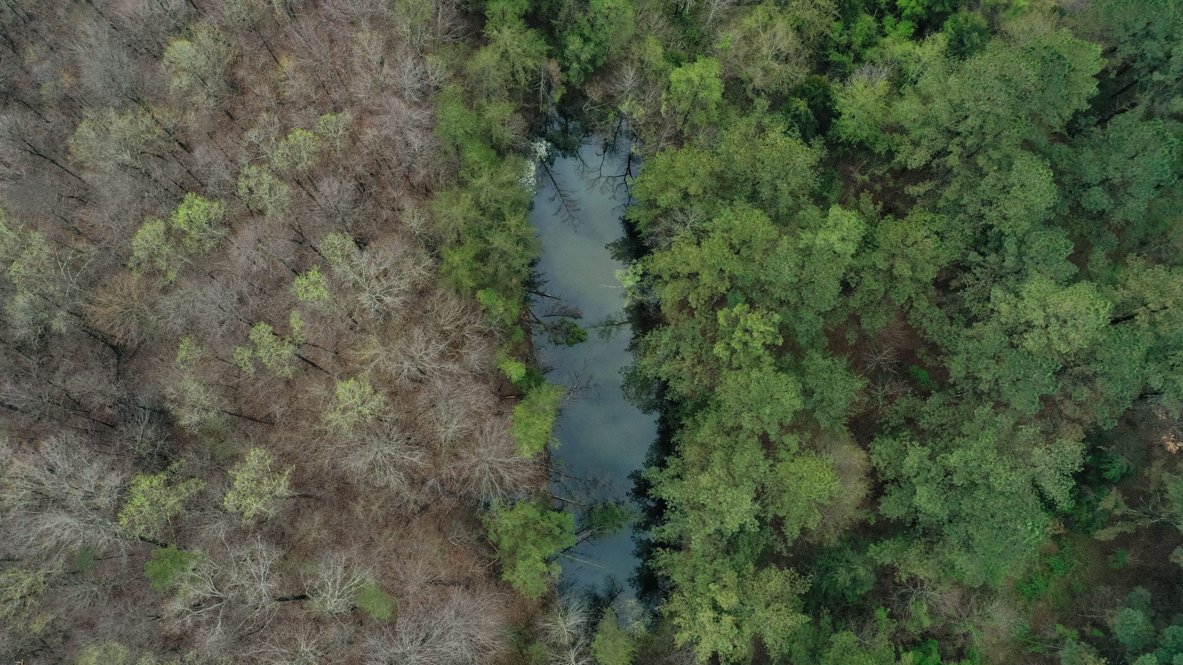 Woodland Heights Tract 22 photo 4