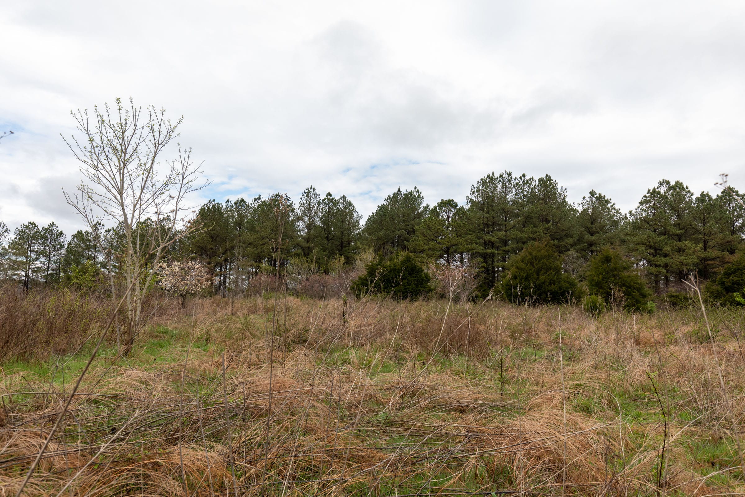 Woodland Heights Tract 22 photo 12