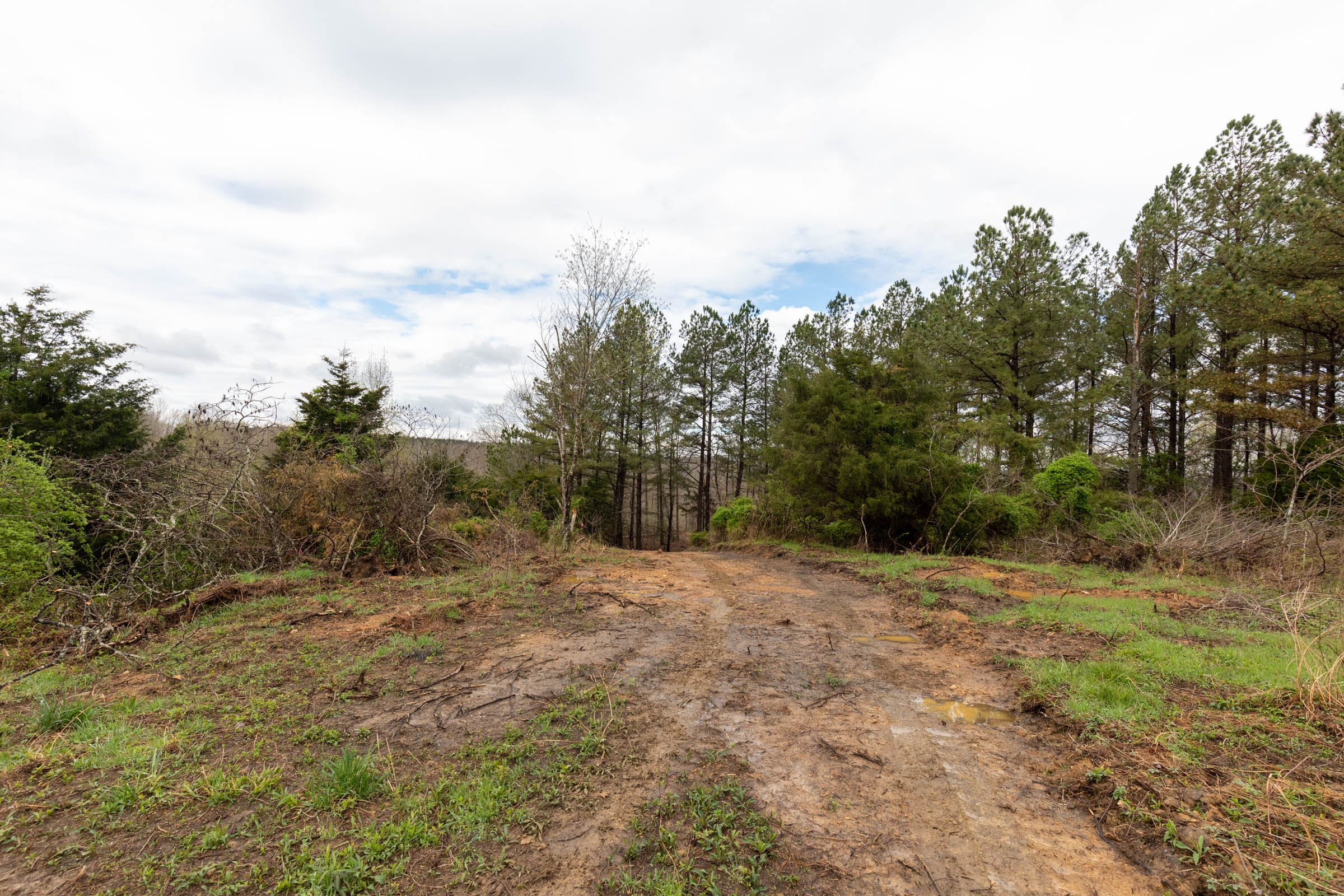 Woodland Heights Tract 22 photo 1