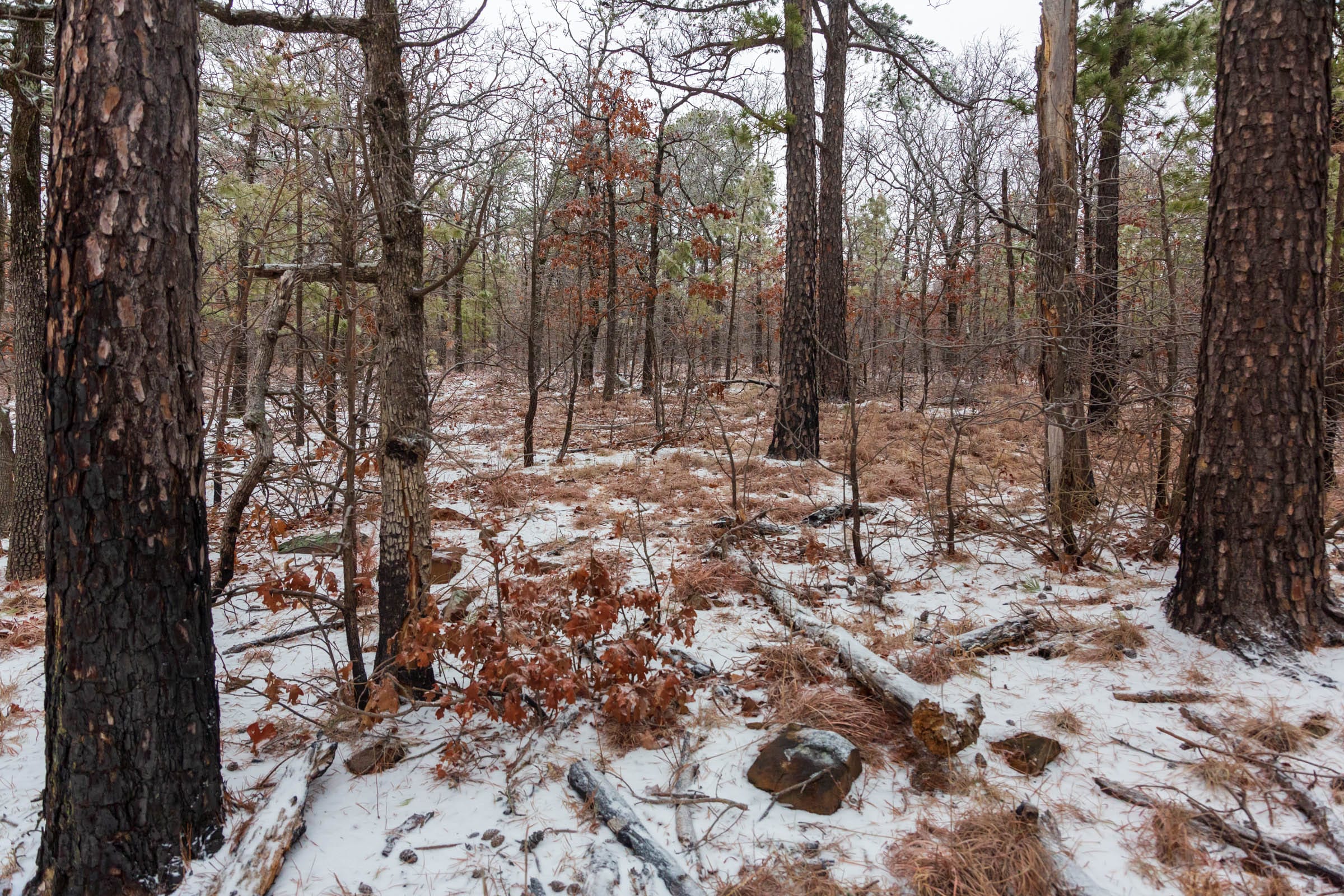 Stone Bridge Phase IV Tract 304 photo 11
