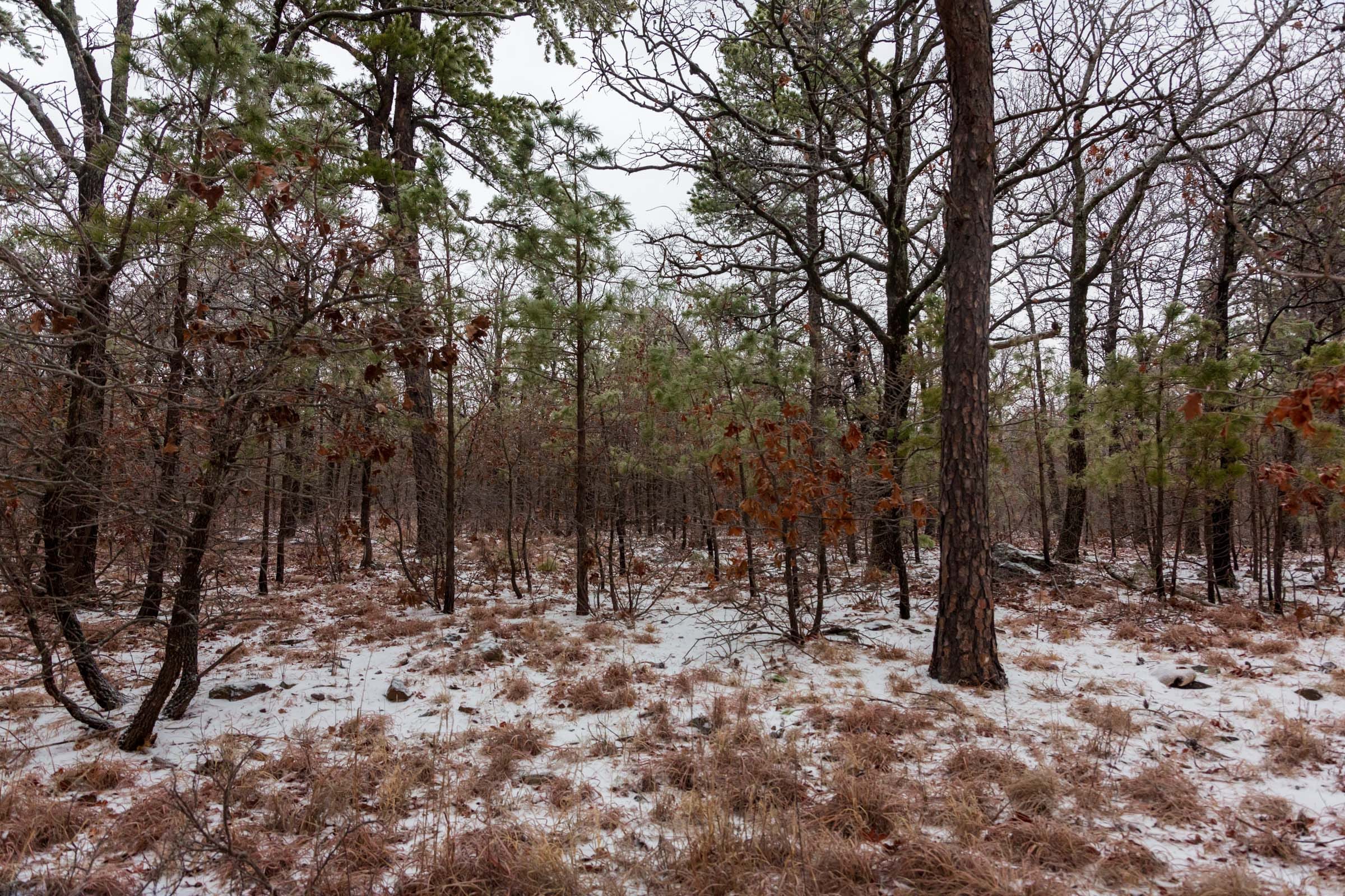 Stone Bridge Phase IV Tract 304 photo 10