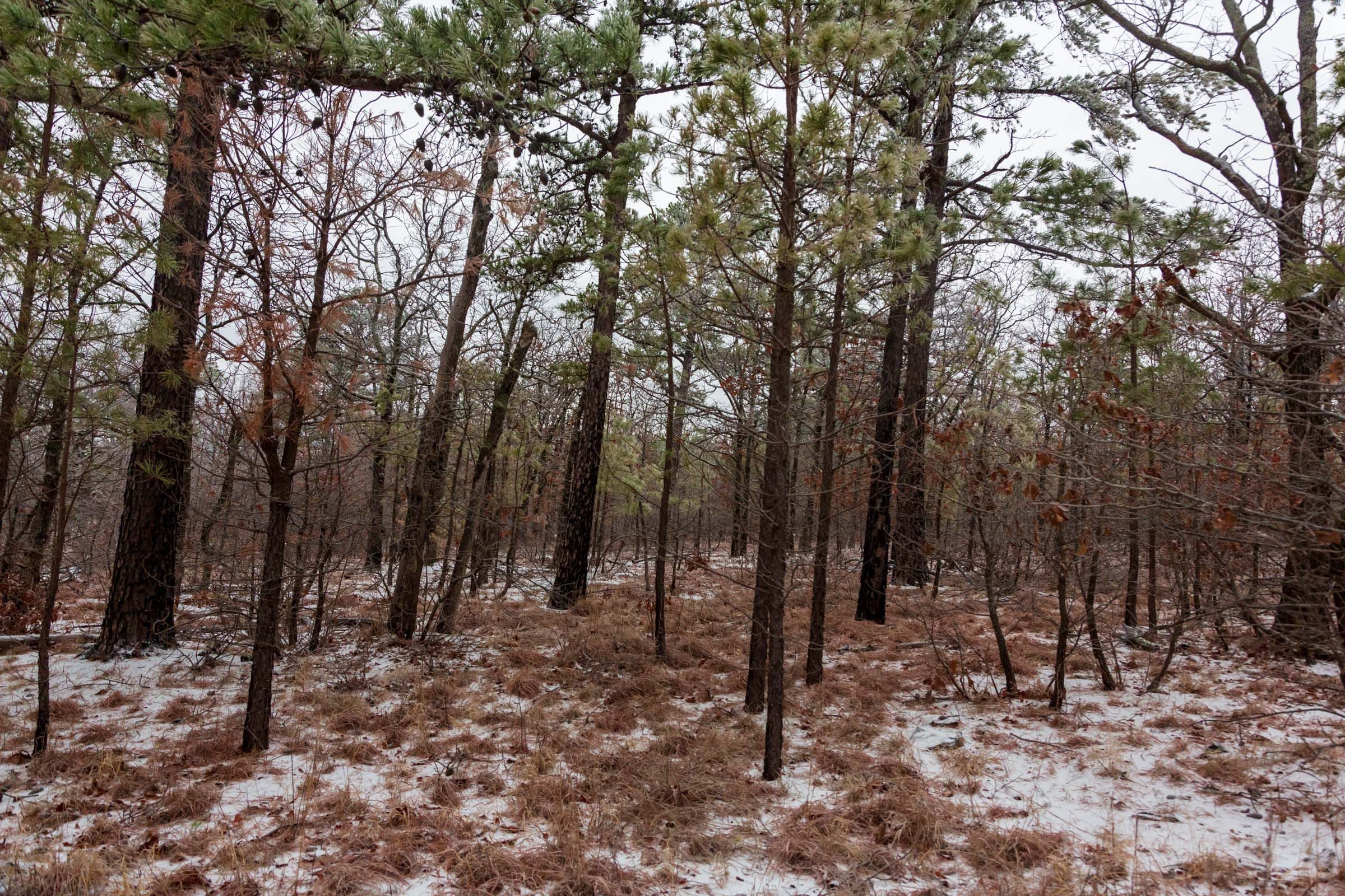 Stone Bridge Phase IV Tract 304 photo 13
