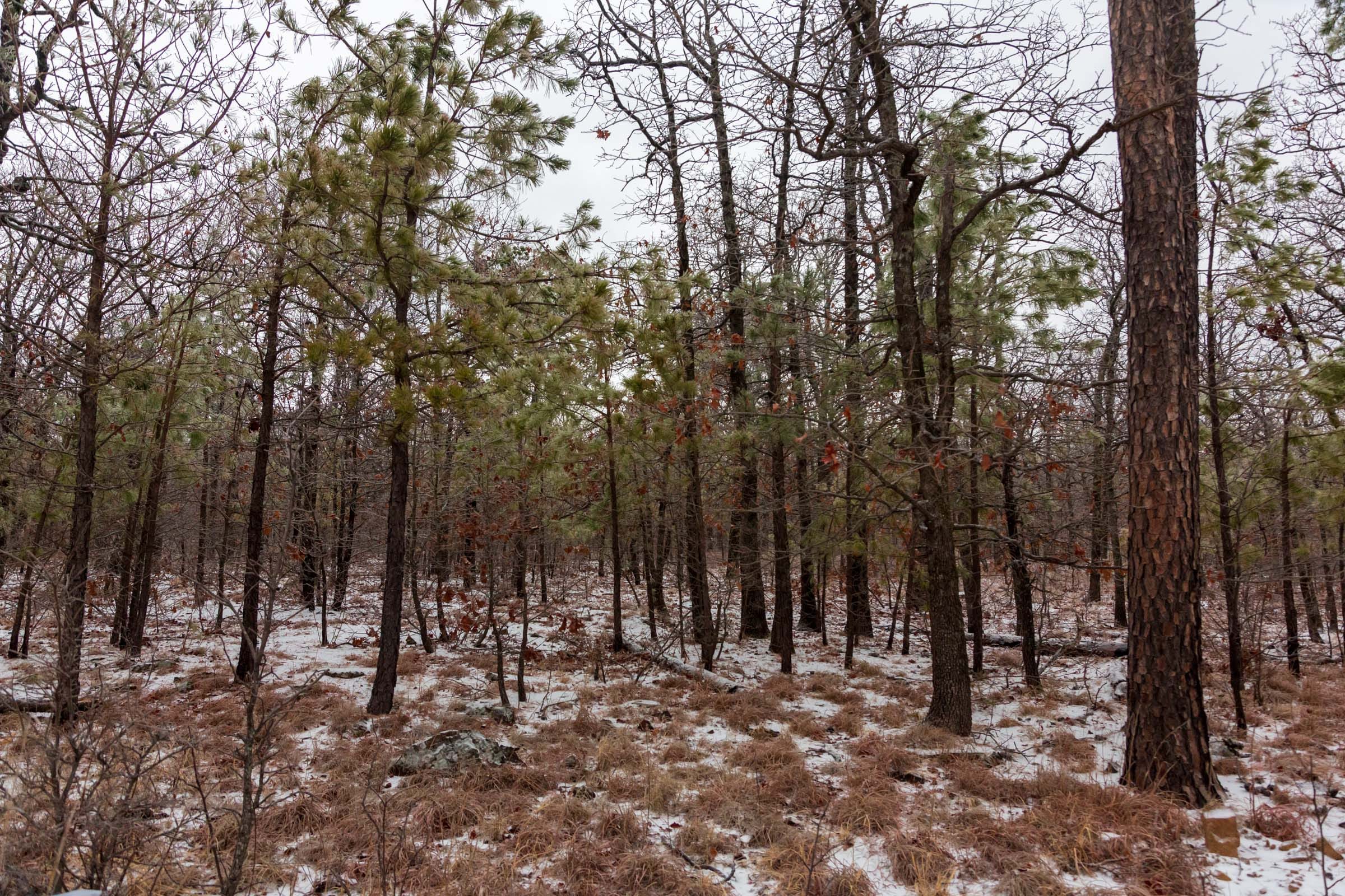 Stone Bridge Phase IV Tract 304 photo 15