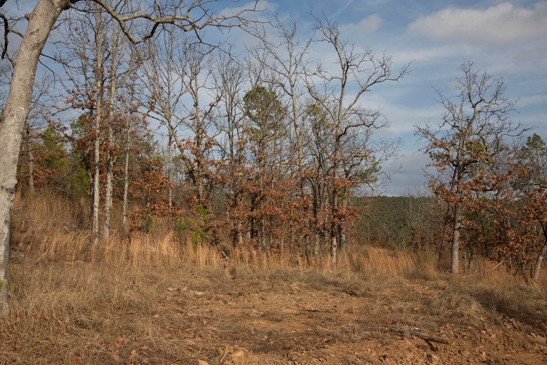 Stone Creek Phase III Tract 90 photo 2