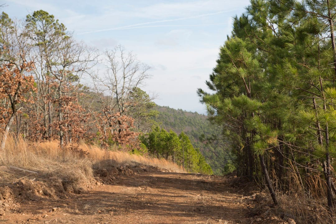 Stone Creek Phase III Tract 90 photo 3