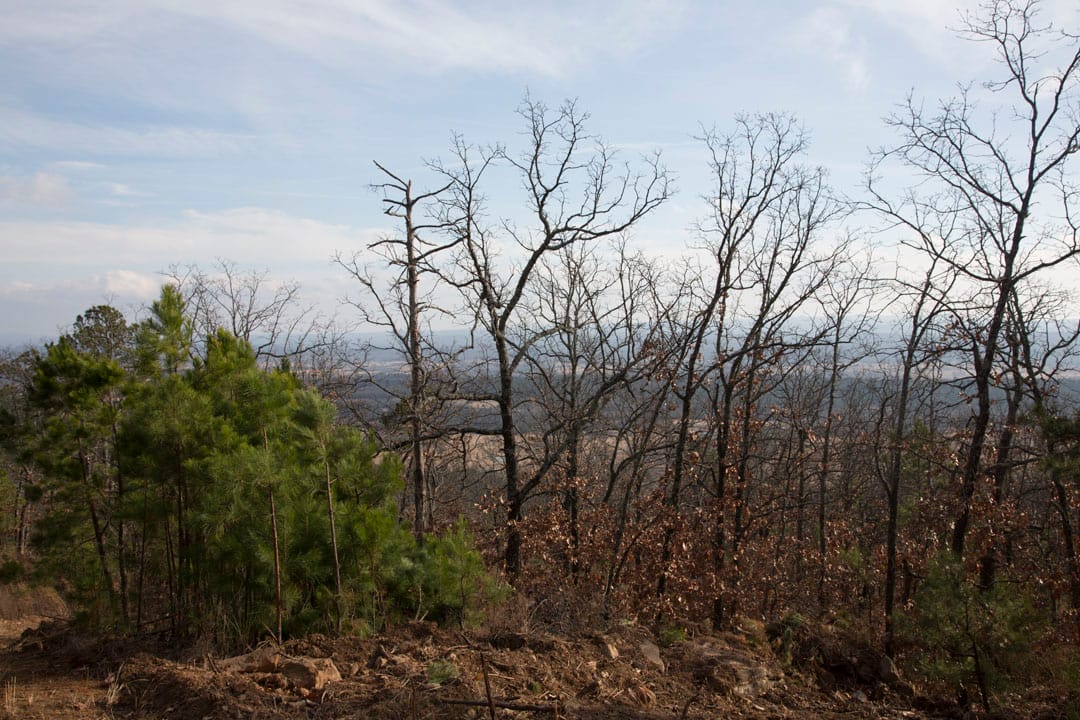 Stone Creek Phase III Tract 90 photo 6