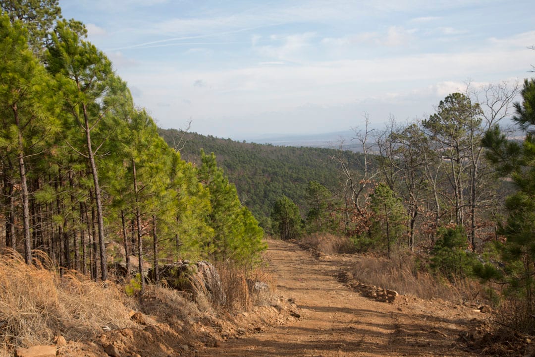 Stone Creek Phase III Tract 90 photo 7