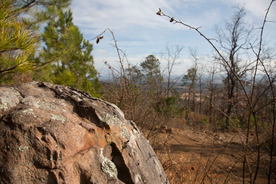 Stone Creek Phase III Tract 90 photo 8