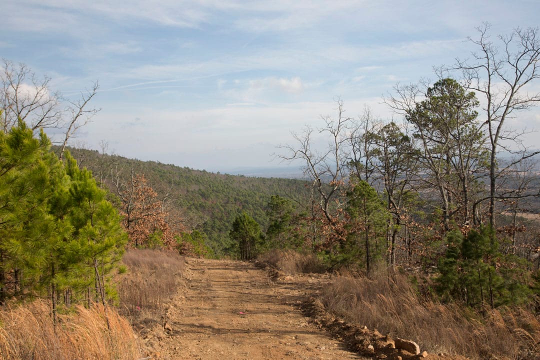 Stone Creek Phase III Tract 90 photo 9