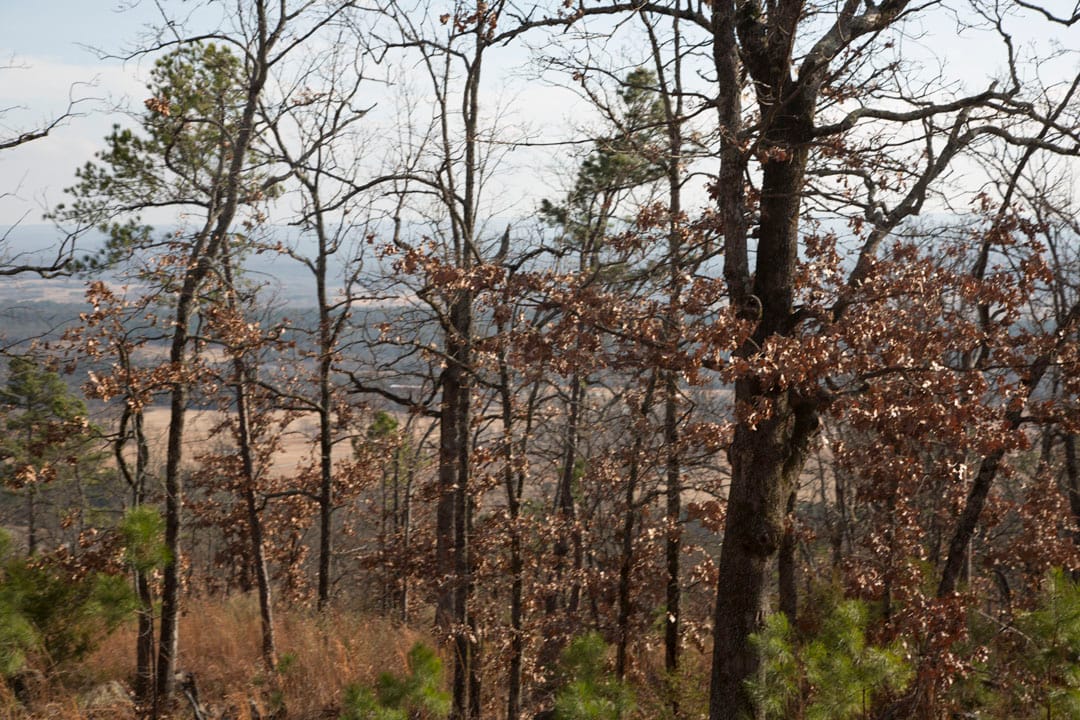 Stone Creek Phase III Tract 90 photo 10