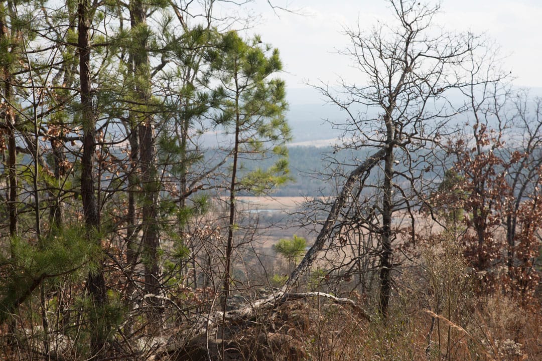 Stone Creek Phase III Tract 90 photo 11