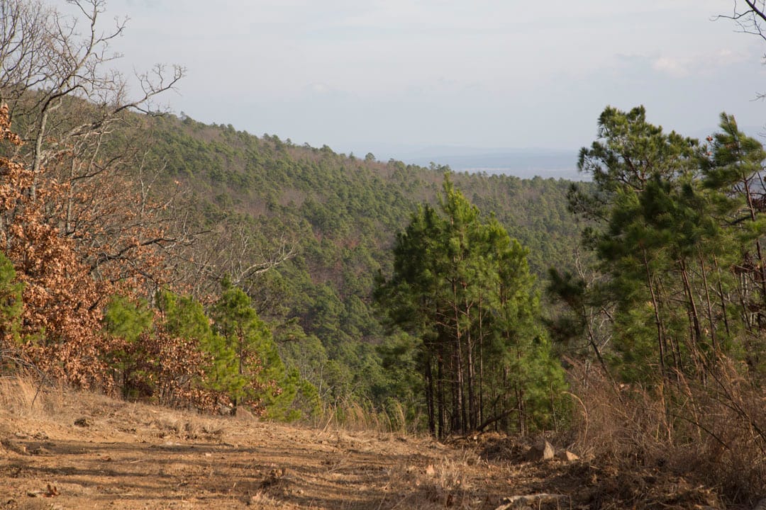 Stone Creek Phase III Tract 90 photo 12