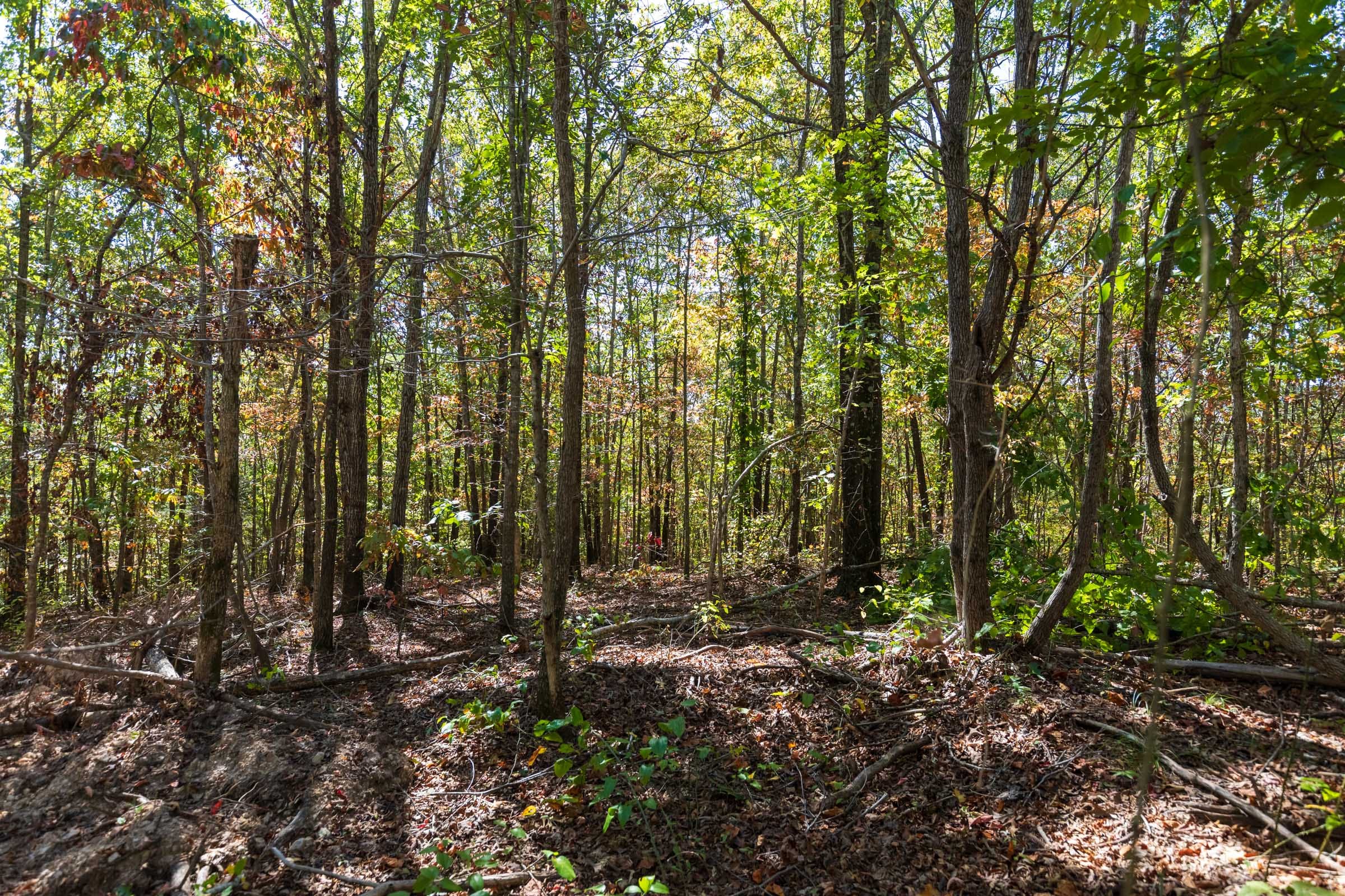 Bear Brook Tract 18 photo 5