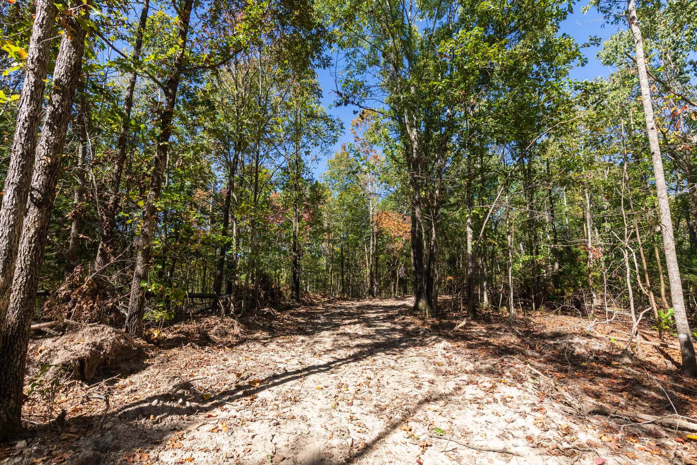 Bear Brook Tract 18 photo 6