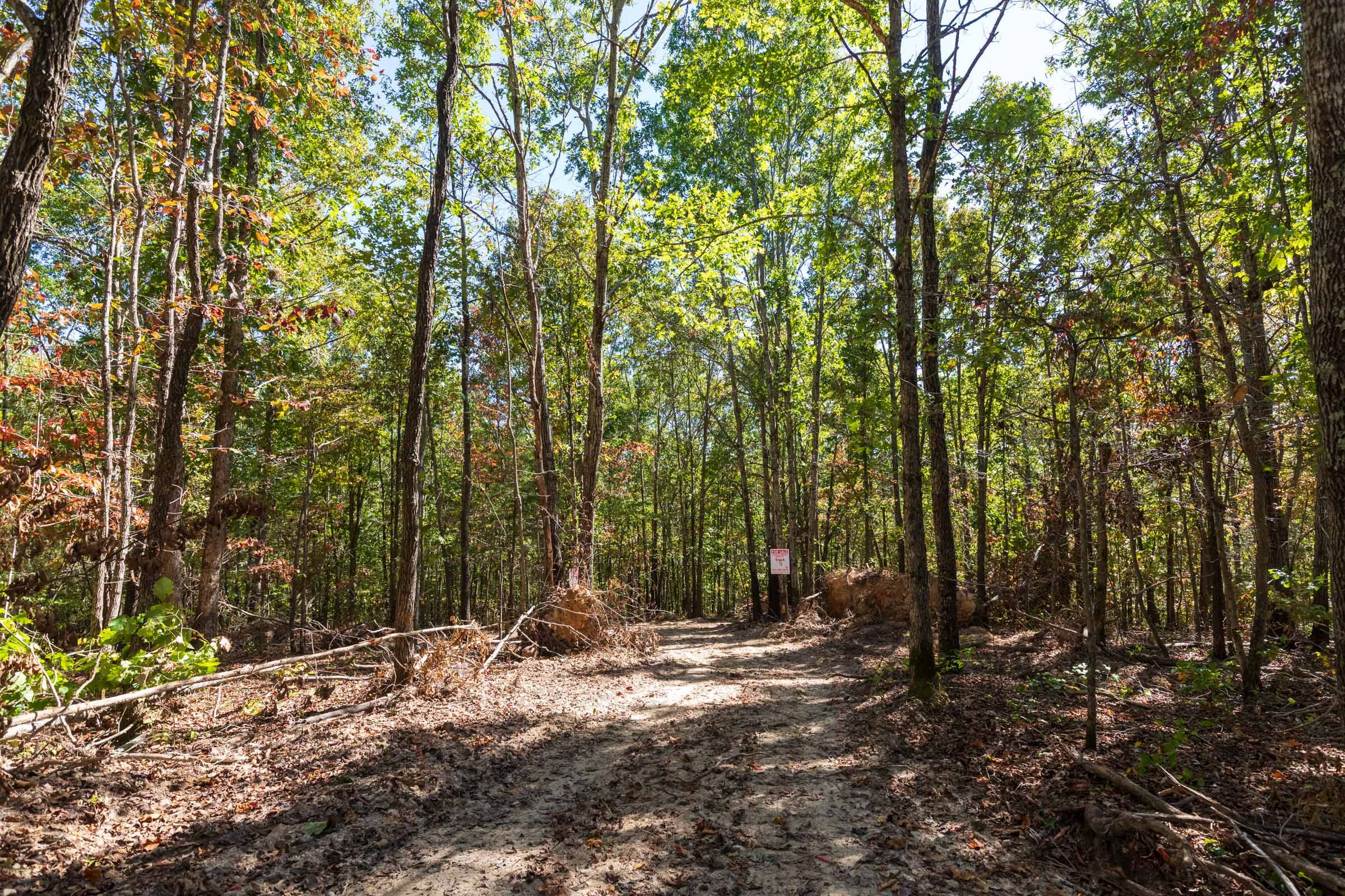 Bear Brook Tract 18 photo 1