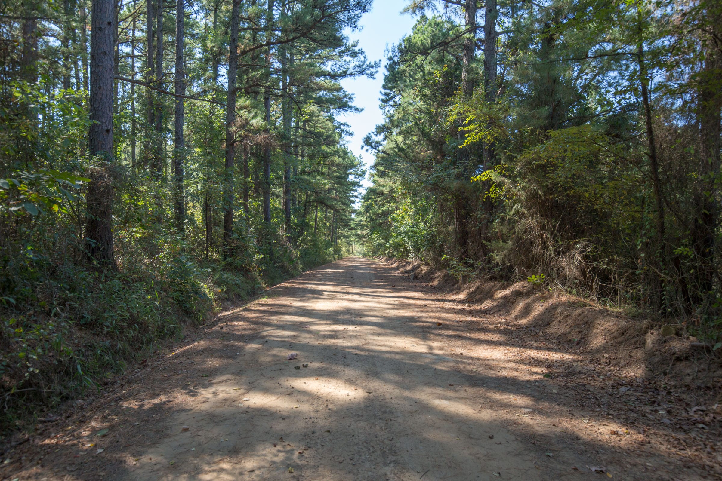 Stone Bridge Phase I Tract 4 photo 1