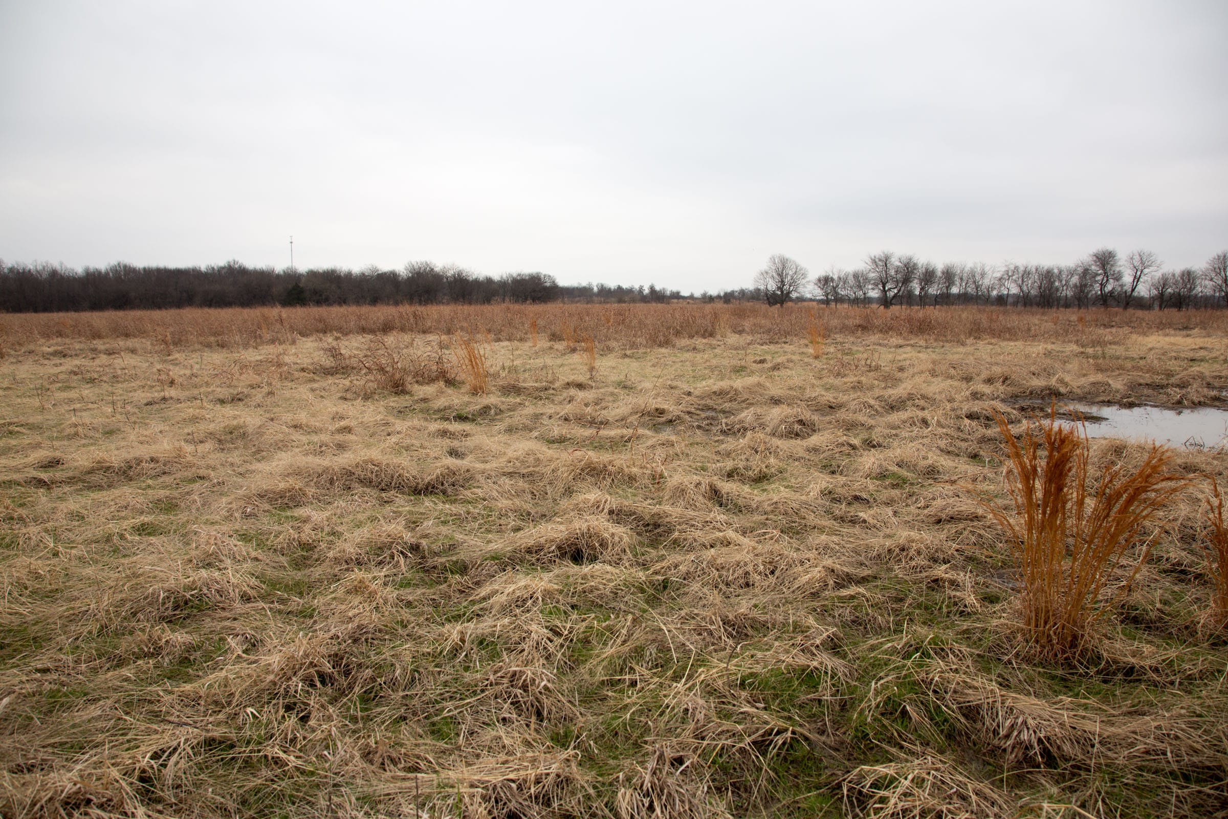 Canadian Plains Tract 24 photo 2
