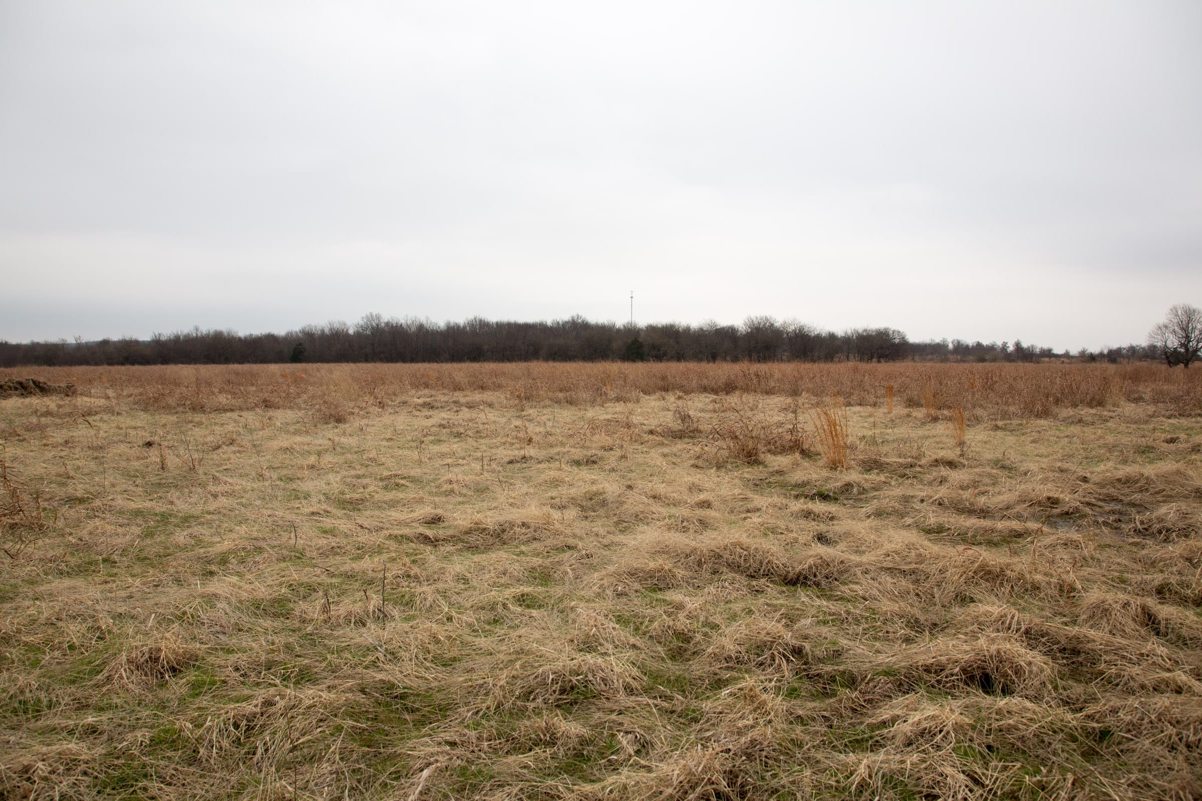 Canadian Plains Tract 24 photo 3