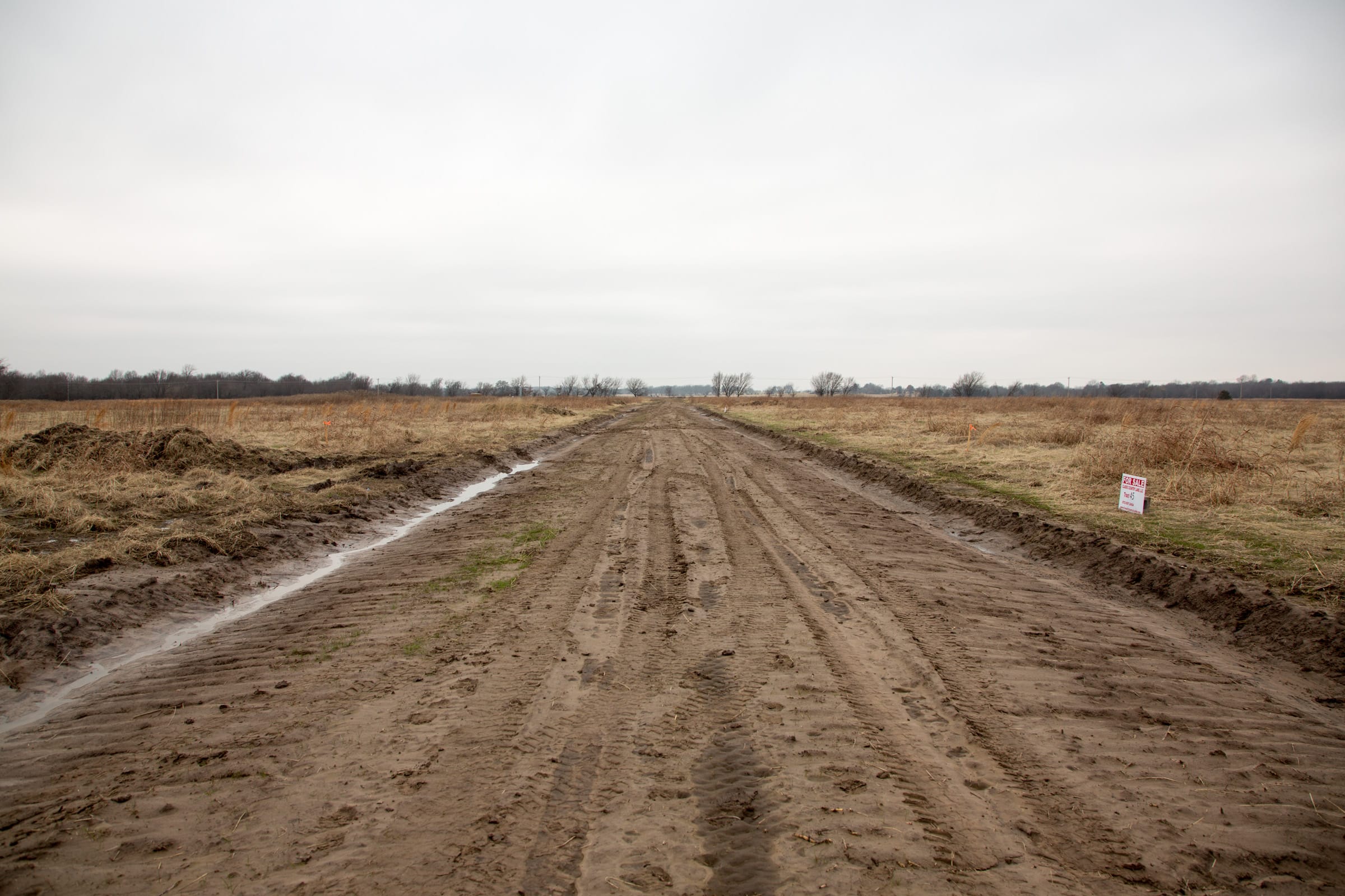 Canadian Plains Tract 24 photo 1