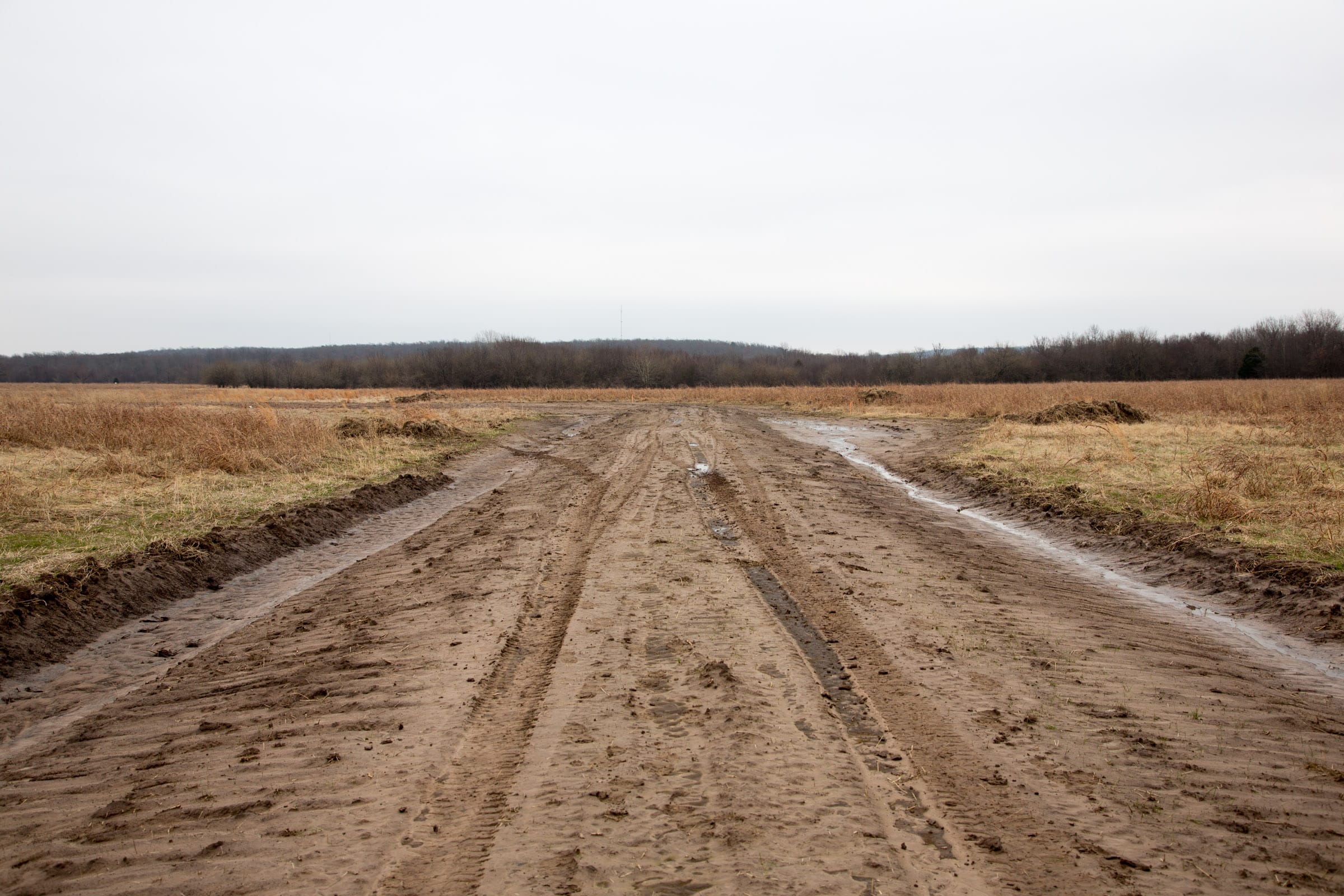 Canadian Plains Tract 24 photo 6