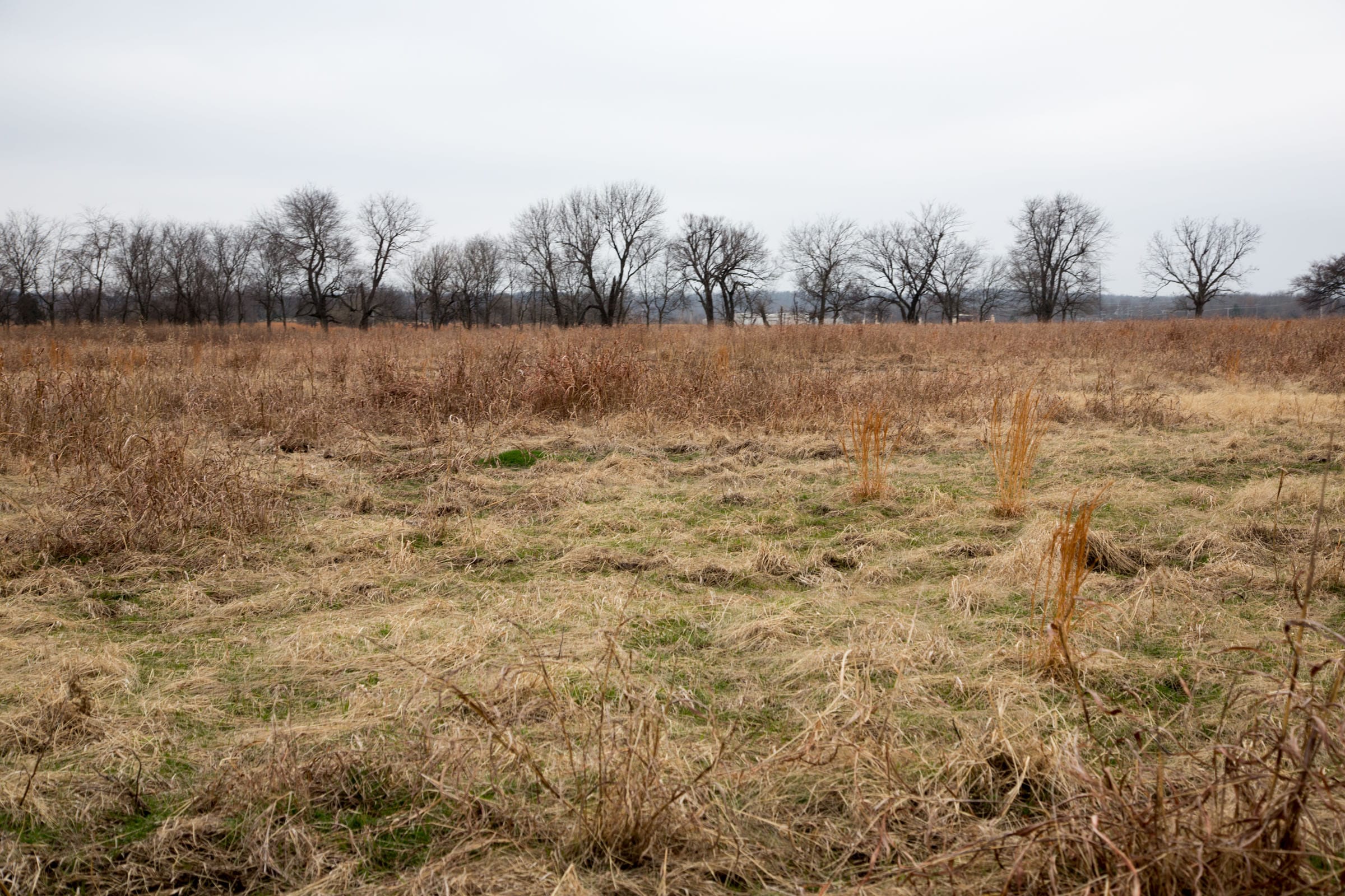 Canadian Plains Tract 24 photo 4