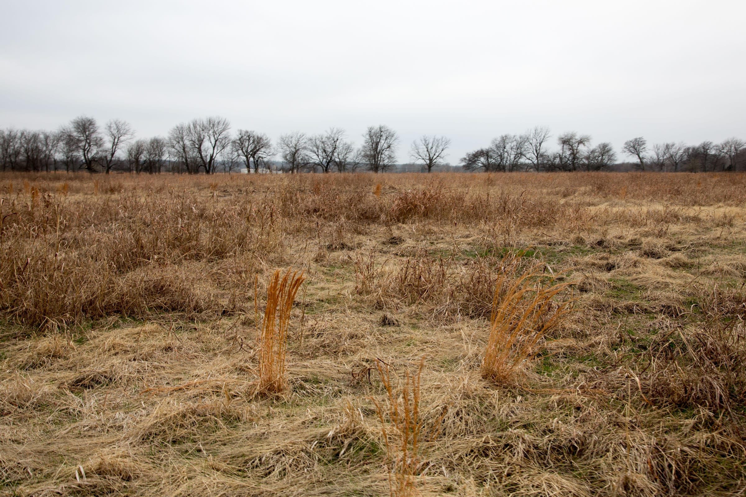Canadian Plains Tract 24 photo 5