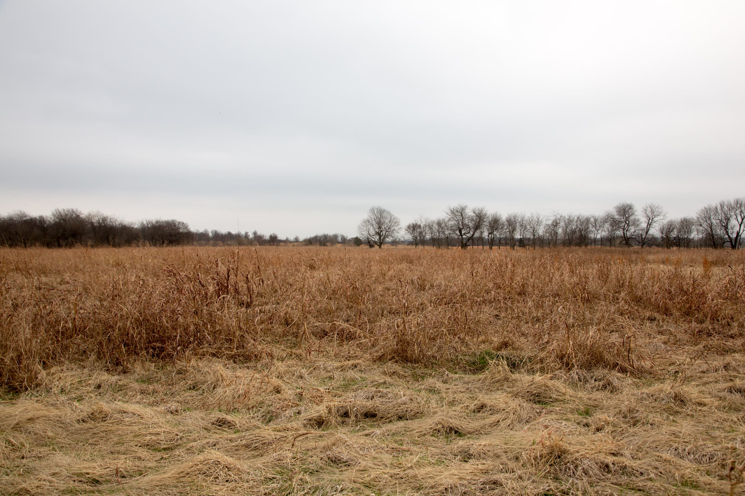 Canadian Plains Tract 24 photo 7