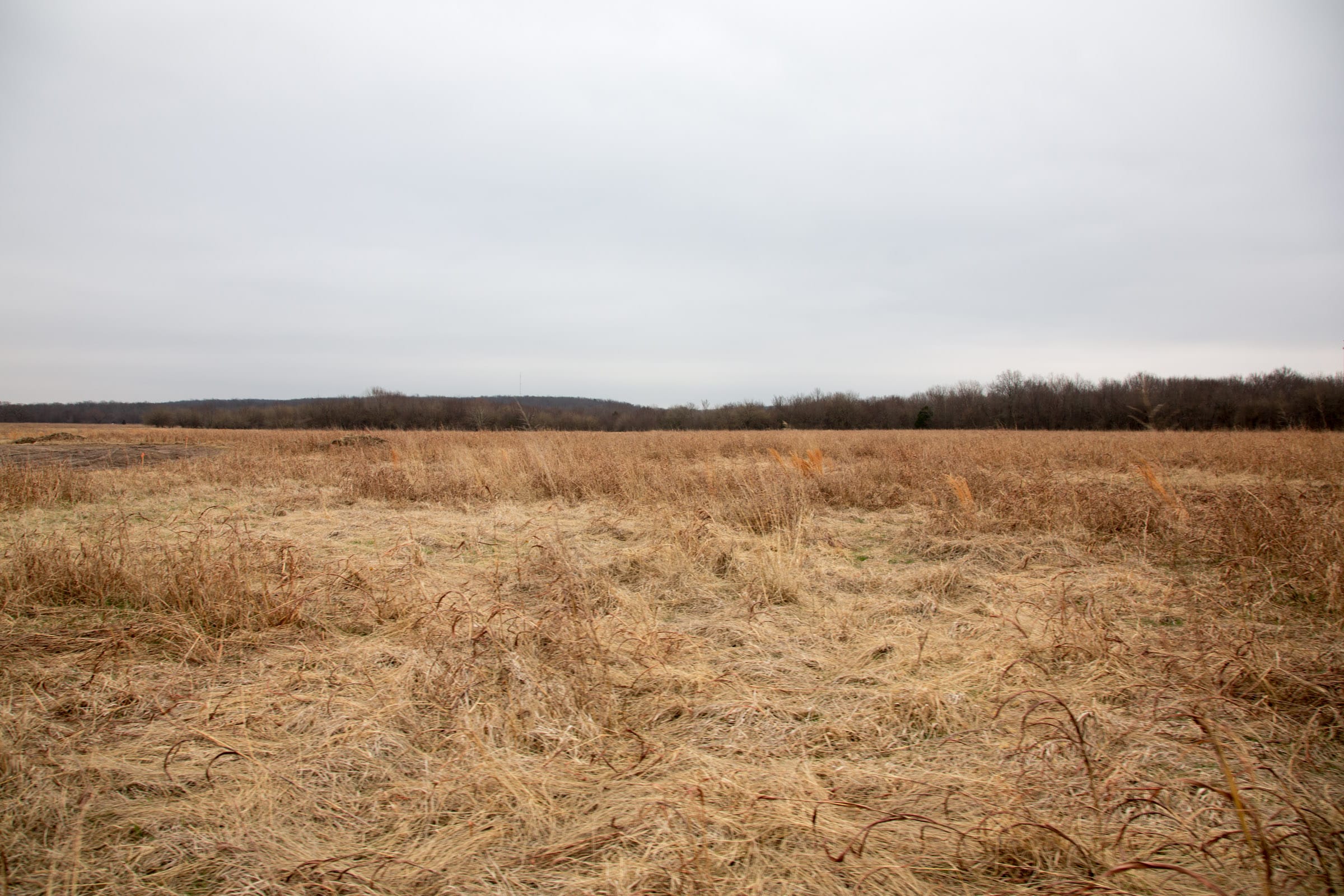 Canadian Plains Tract 24 photo 8