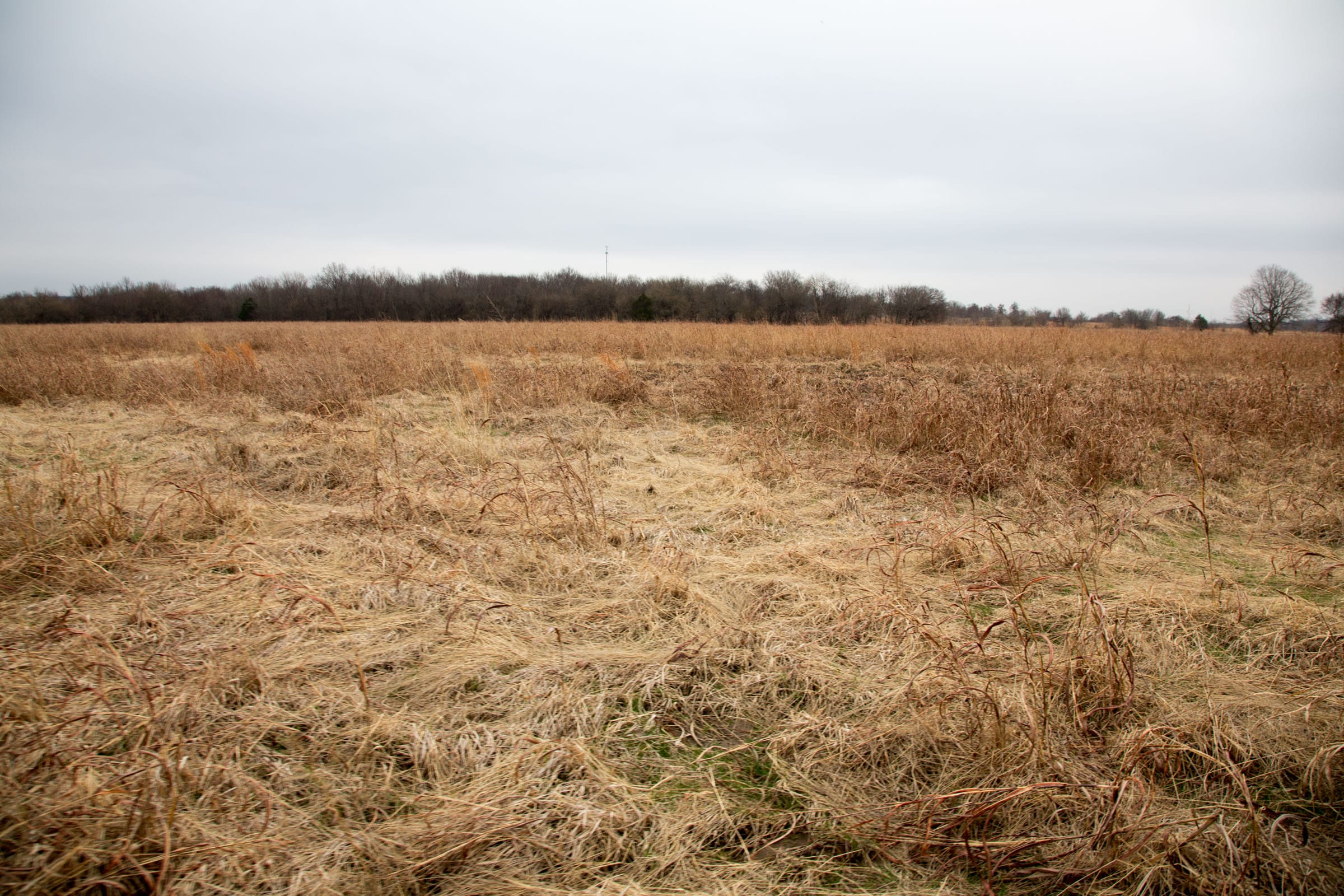 Canadian Plains Tract 24 photo 9