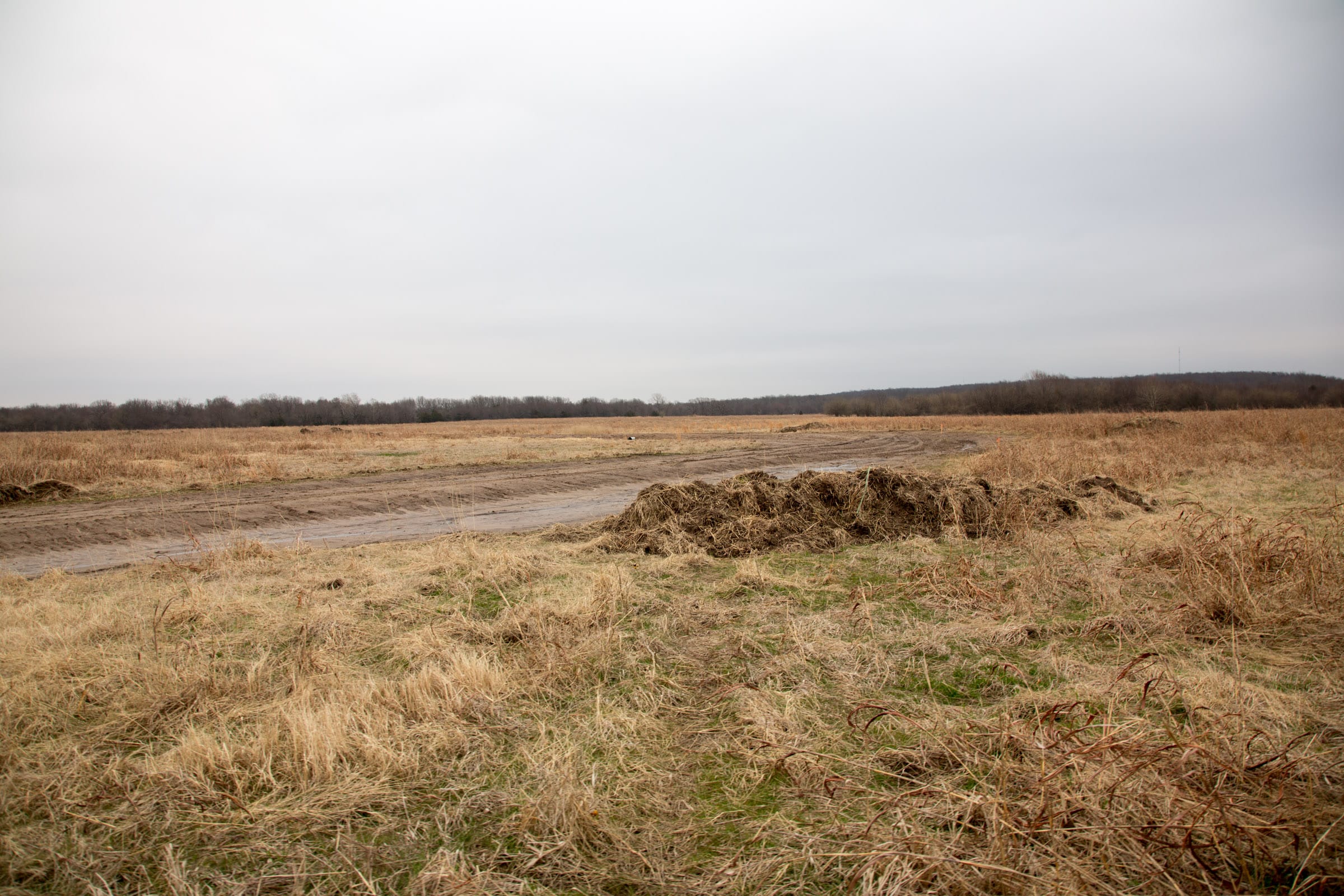 Canadian Plains Tract 24 photo 10