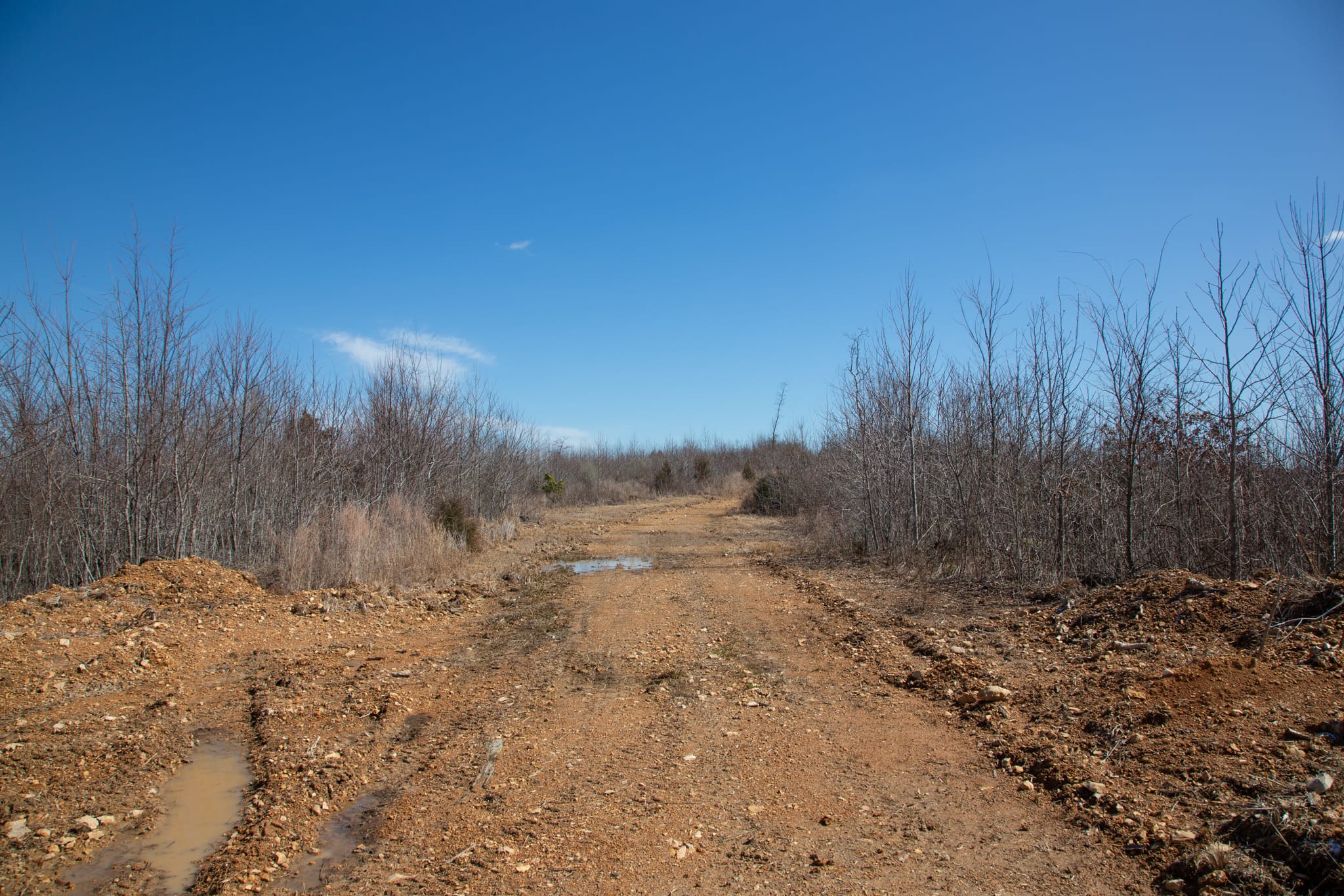Southwind Ranch Tract 4 photo 5