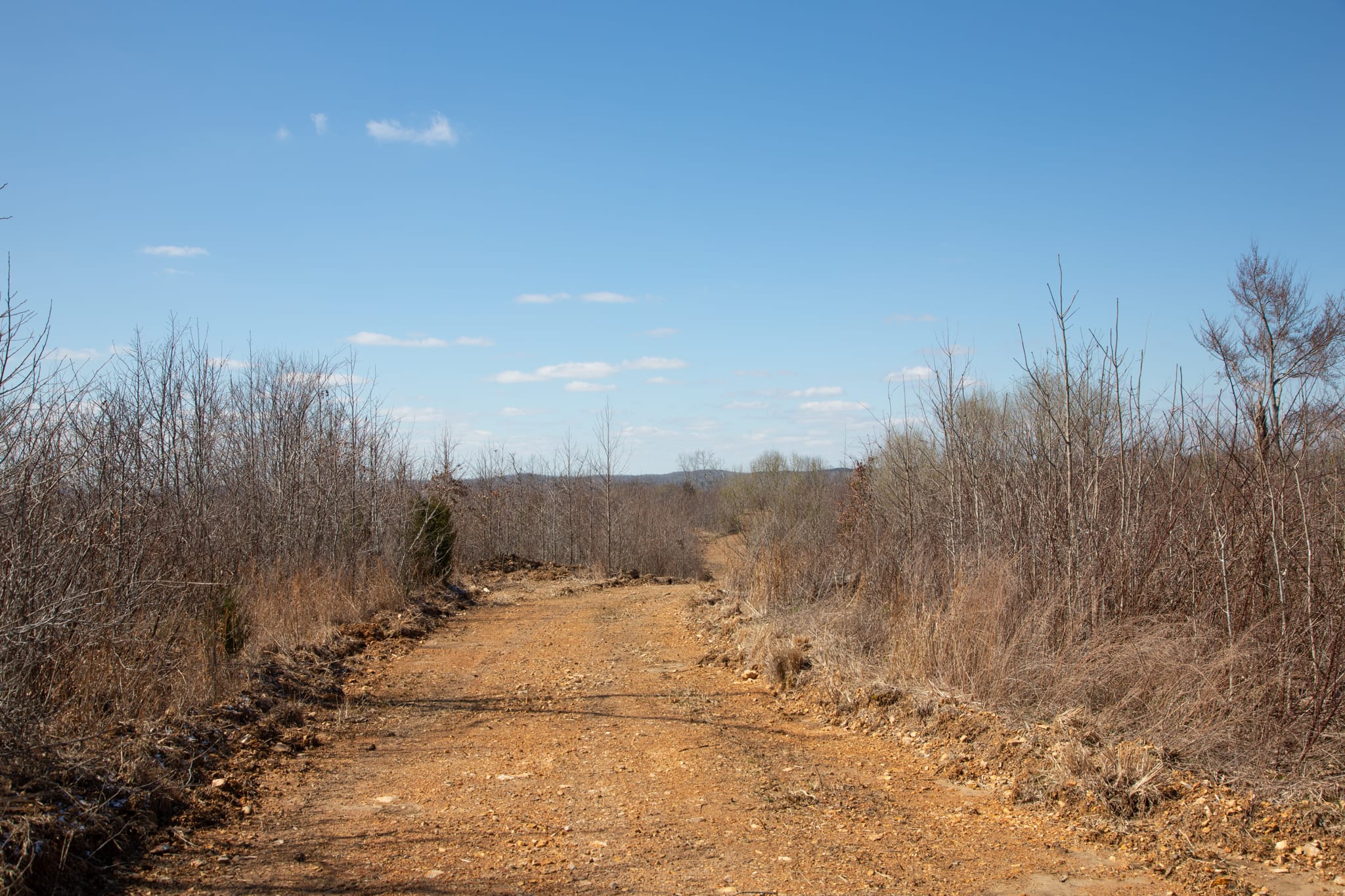 Southwind Ranch Tract 4 photo 6