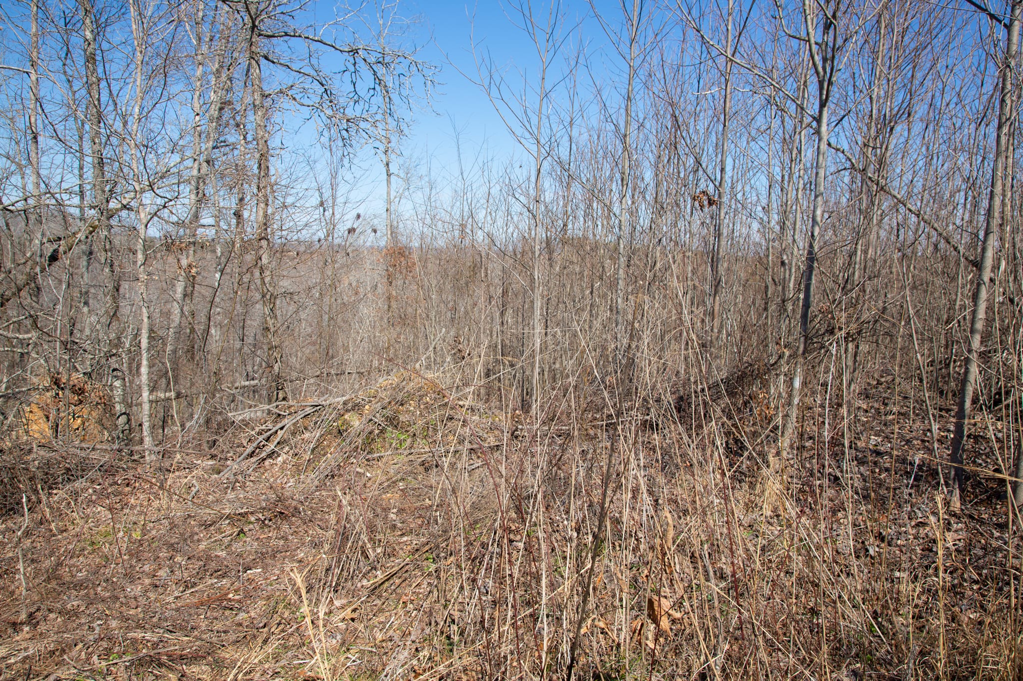 Southwind Ranch Tract 4 photo 9